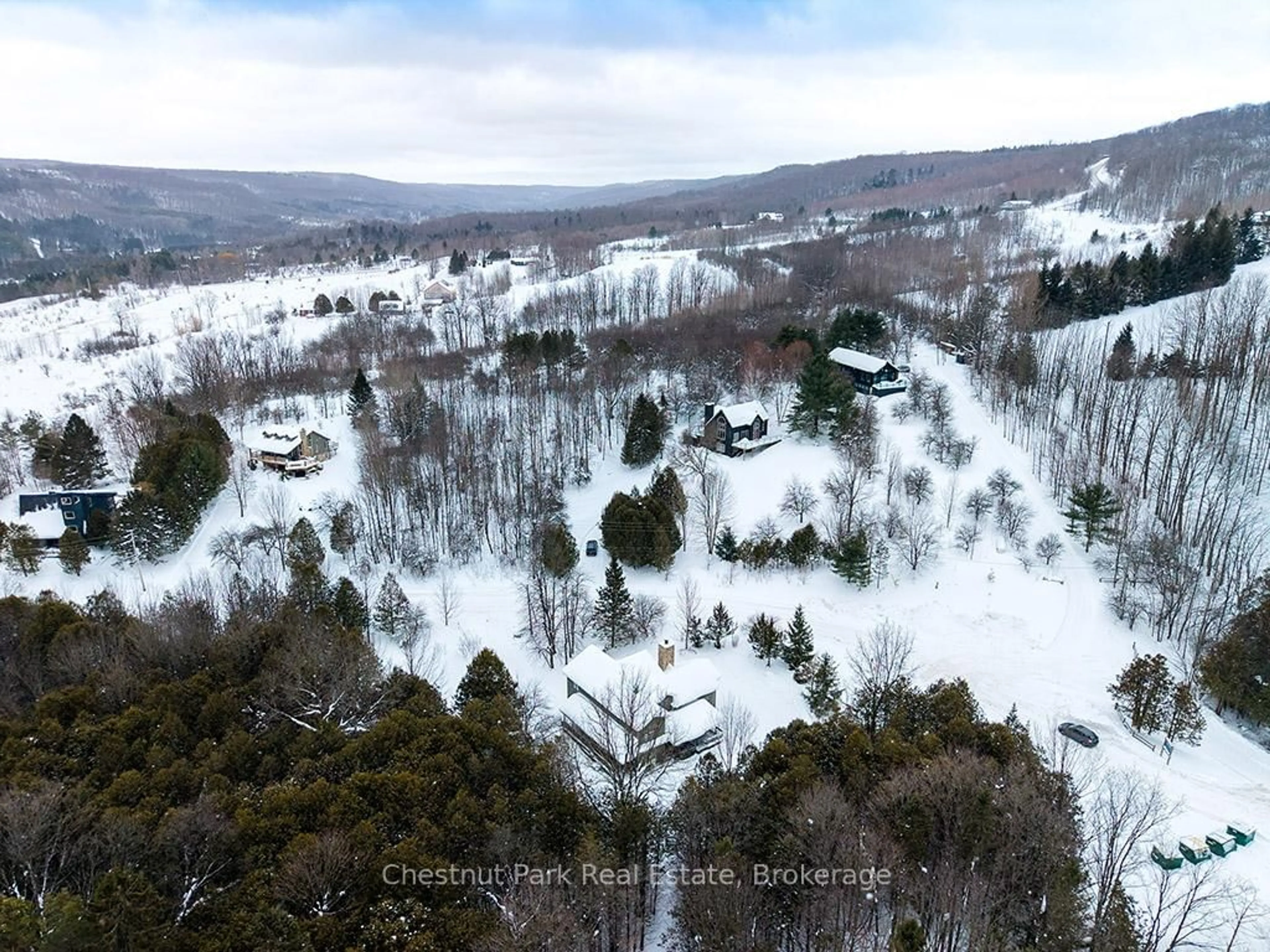 A pic from outside/outdoor area/front of a property/back of a property/a pic from drone, forest/trees view for 170 Mary B's Lane, Grey Highlands Ontario N0C 1H0