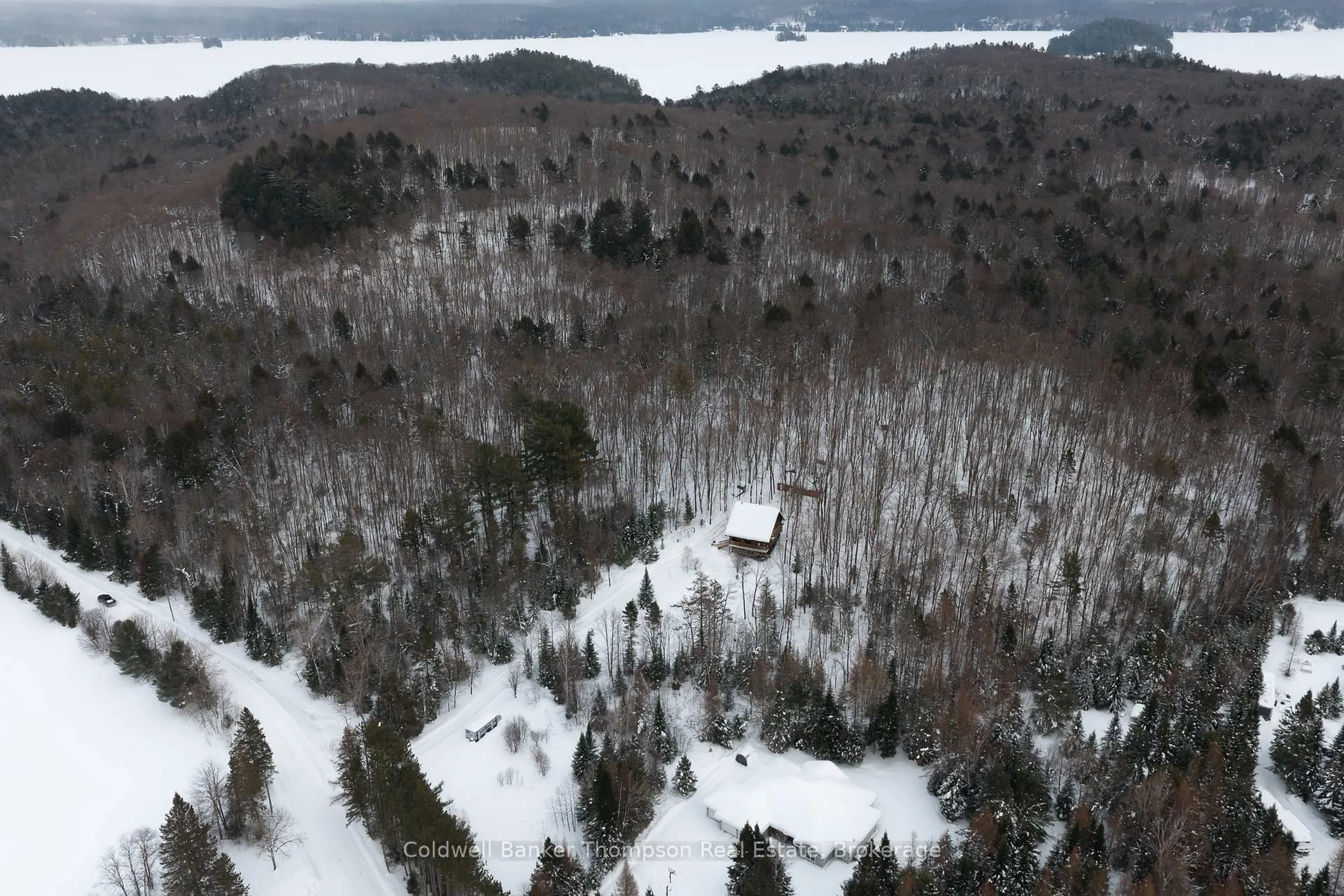 A pic from outside/outdoor area/front of a property/back of a property/a pic from drone, forest/trees view for 299 Rowanwood Rd, Huntsville Ontario P0B 1M0