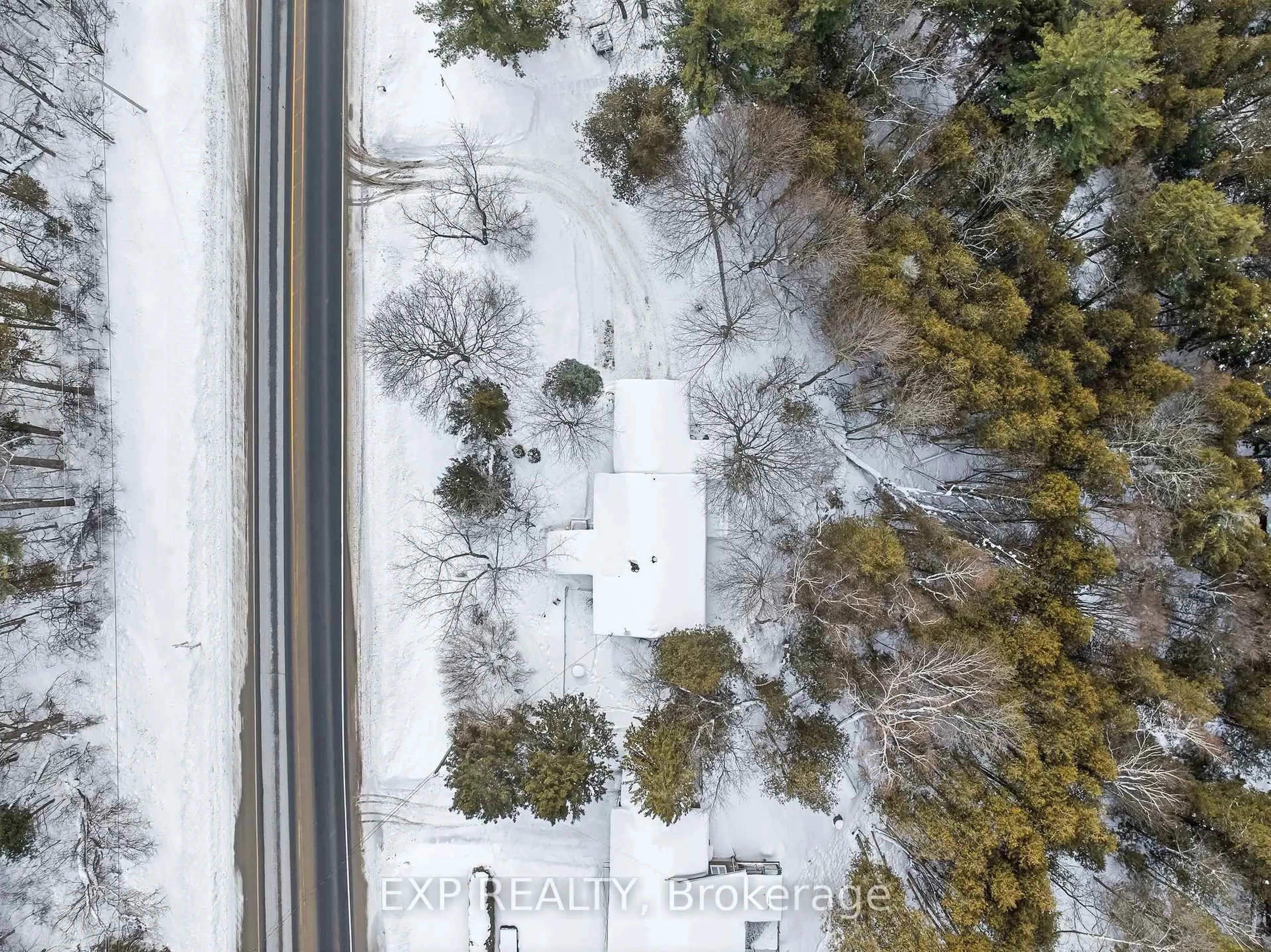 A pic from outside/outdoor area/front of a property/back of a property/a pic from drone, forest/trees view for 4558 County Road 45, Hamilton Township Ontario K9A 4J9