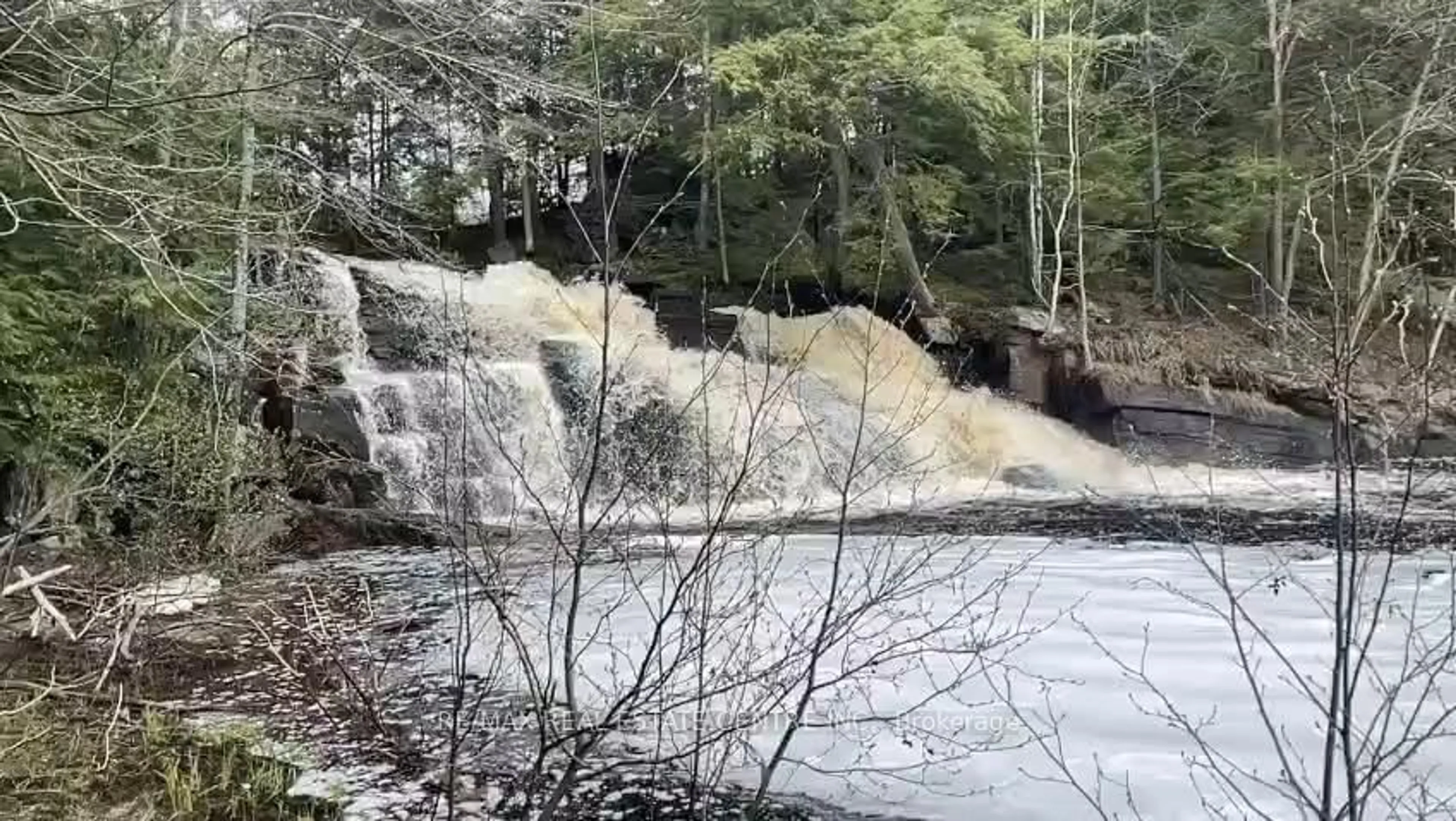 Blurry image for 1033 North Shore Dr, Gravenhurst Ontario P1P 1R1