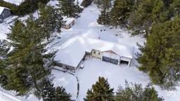 history photo preview