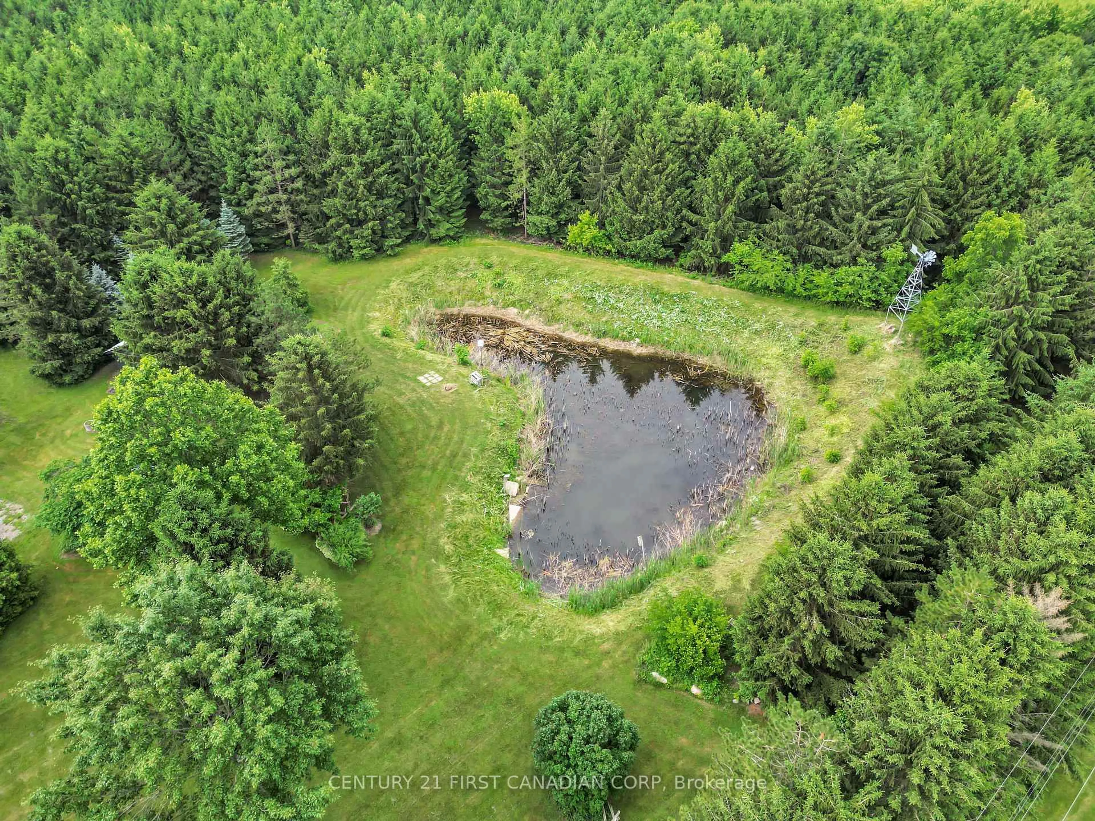 A pic from outside/outdoor area/front of a property/back of a property/a pic from drone, forest/trees view for 13660 LONGWOODS Rd, Chatham-Kent Ontario N0P 2K0