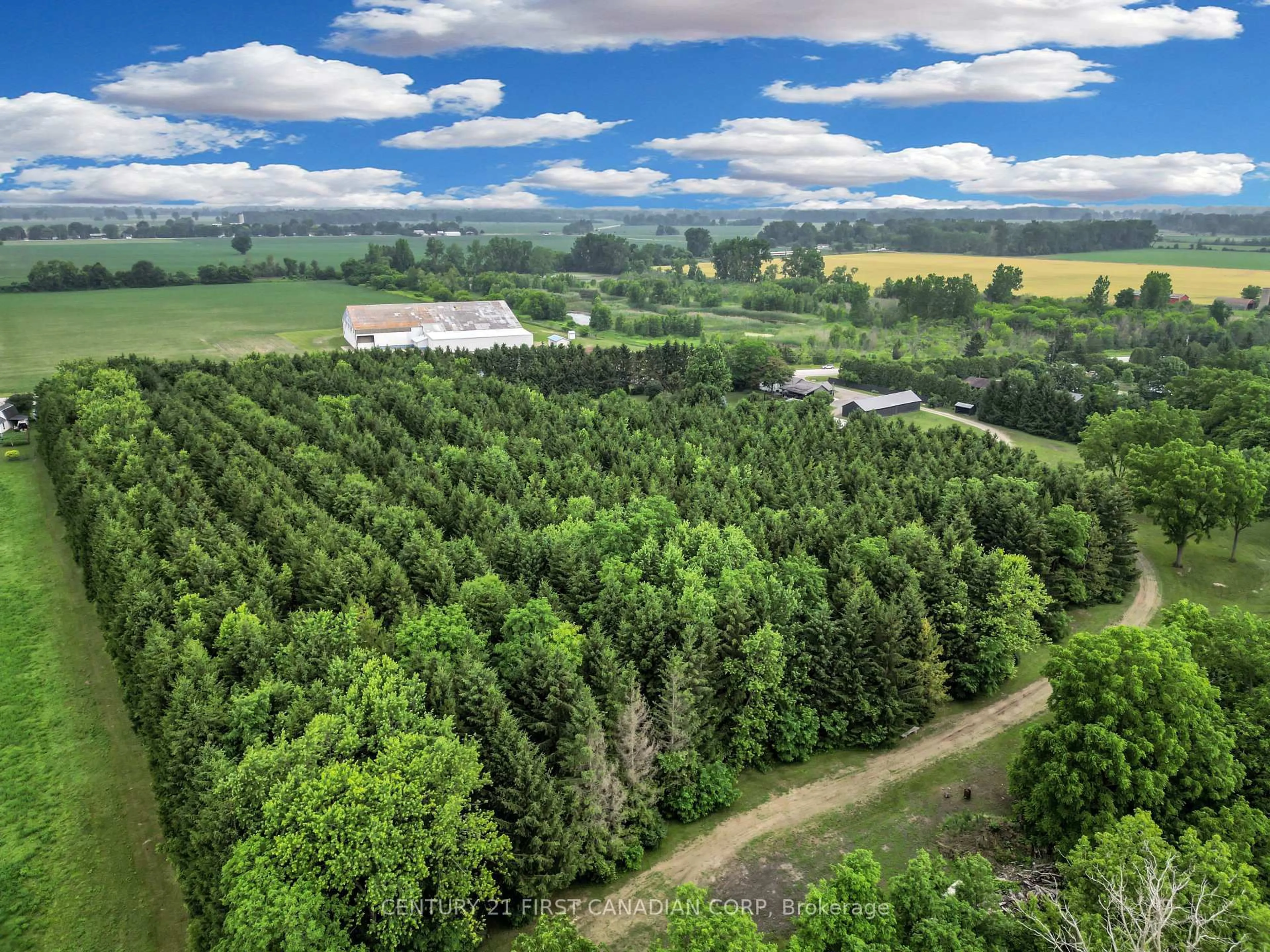 A pic from outside/outdoor area/front of a property/back of a property/a pic from drone, forest/trees view for 13660 LONGWOODS Rd, Chatham-Kent Ontario N0P 2K0