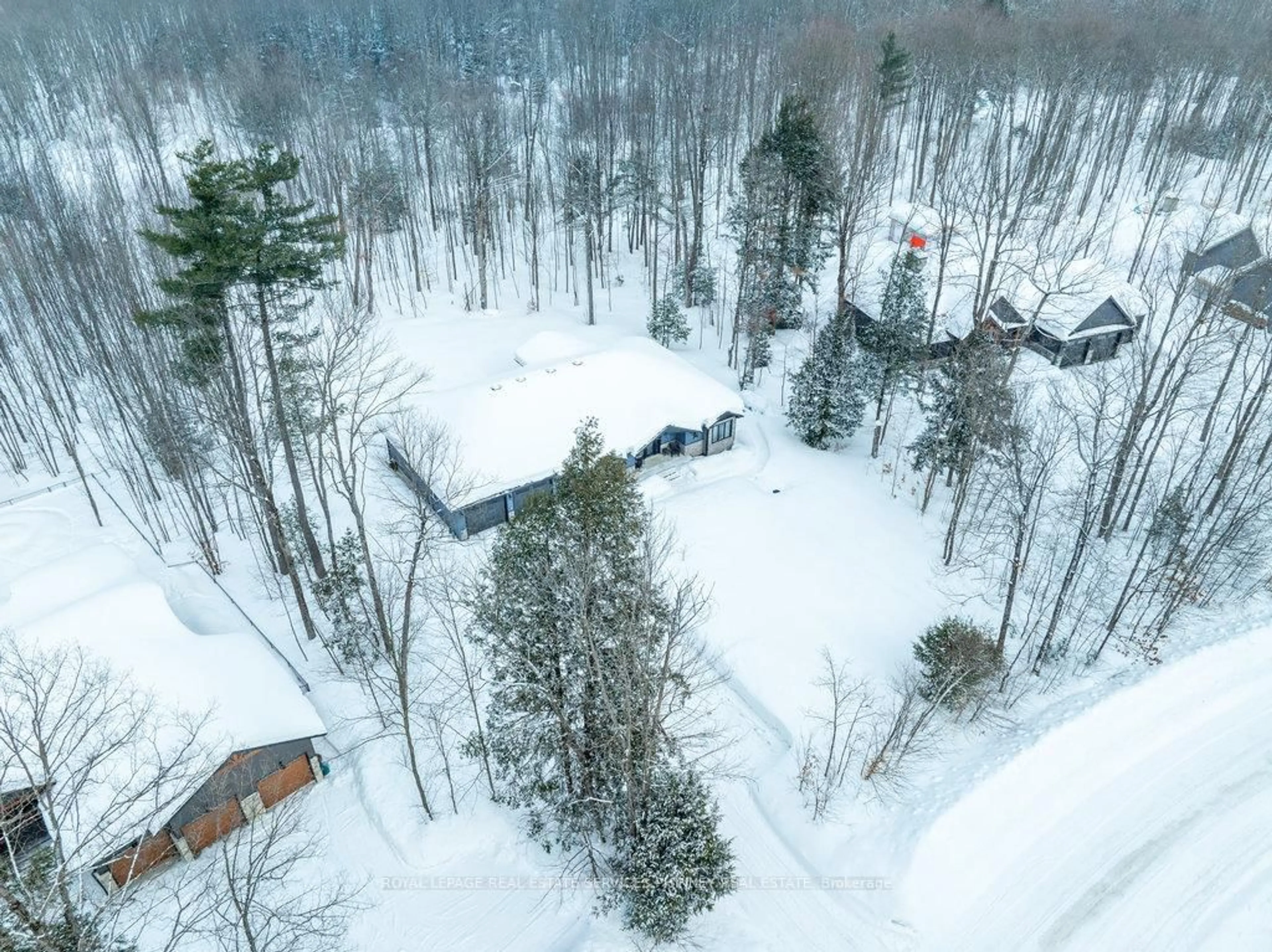A pic from outside/outdoor area/front of a property/back of a property/a pic from drone, forest/trees view for 1068 Xavier St, Gravenhurst Ontario P0E 1G0
