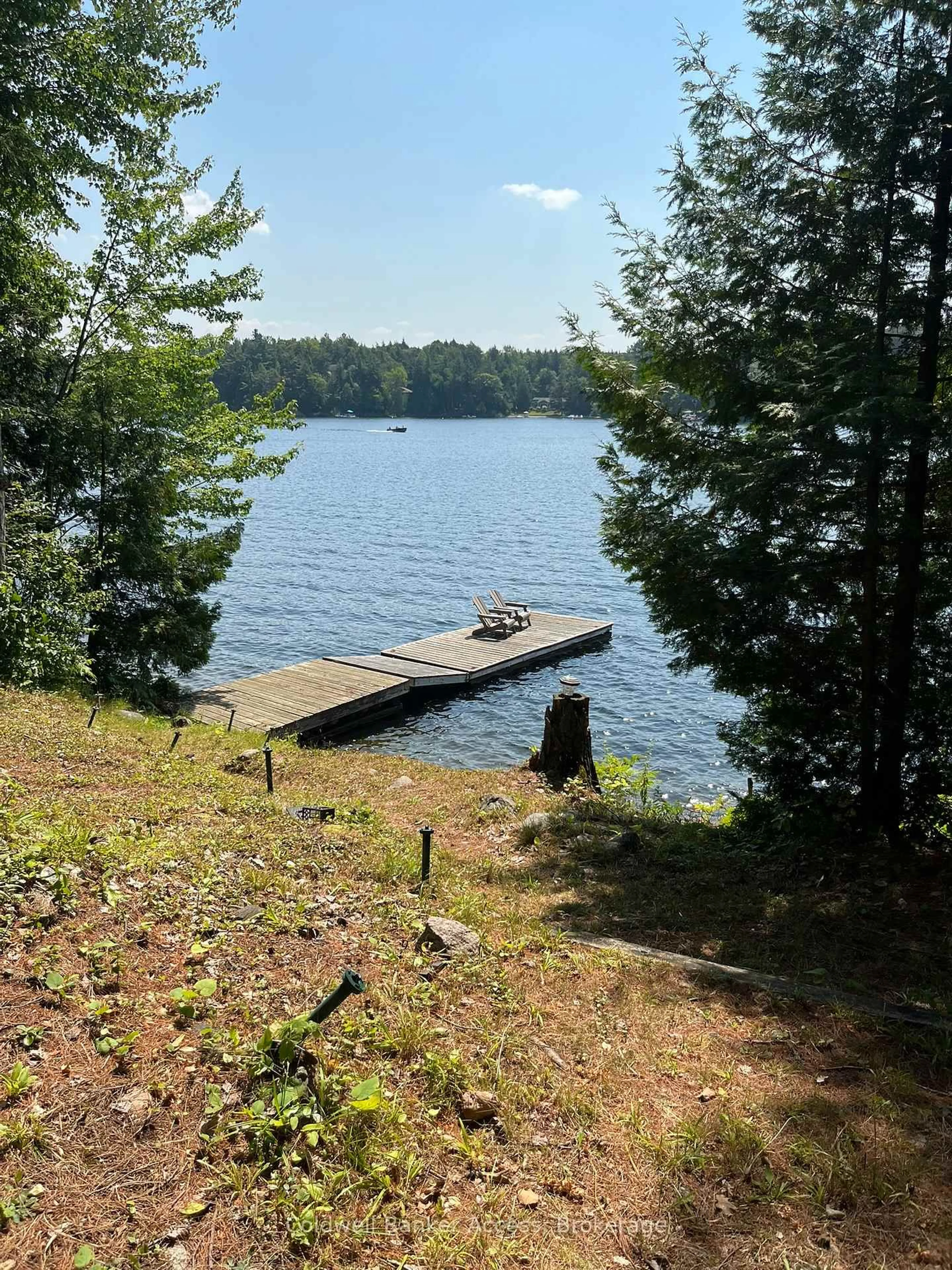 Unknown for 1523 Moon River Rd, Muskoka Lakes Ontario P0C 1A0