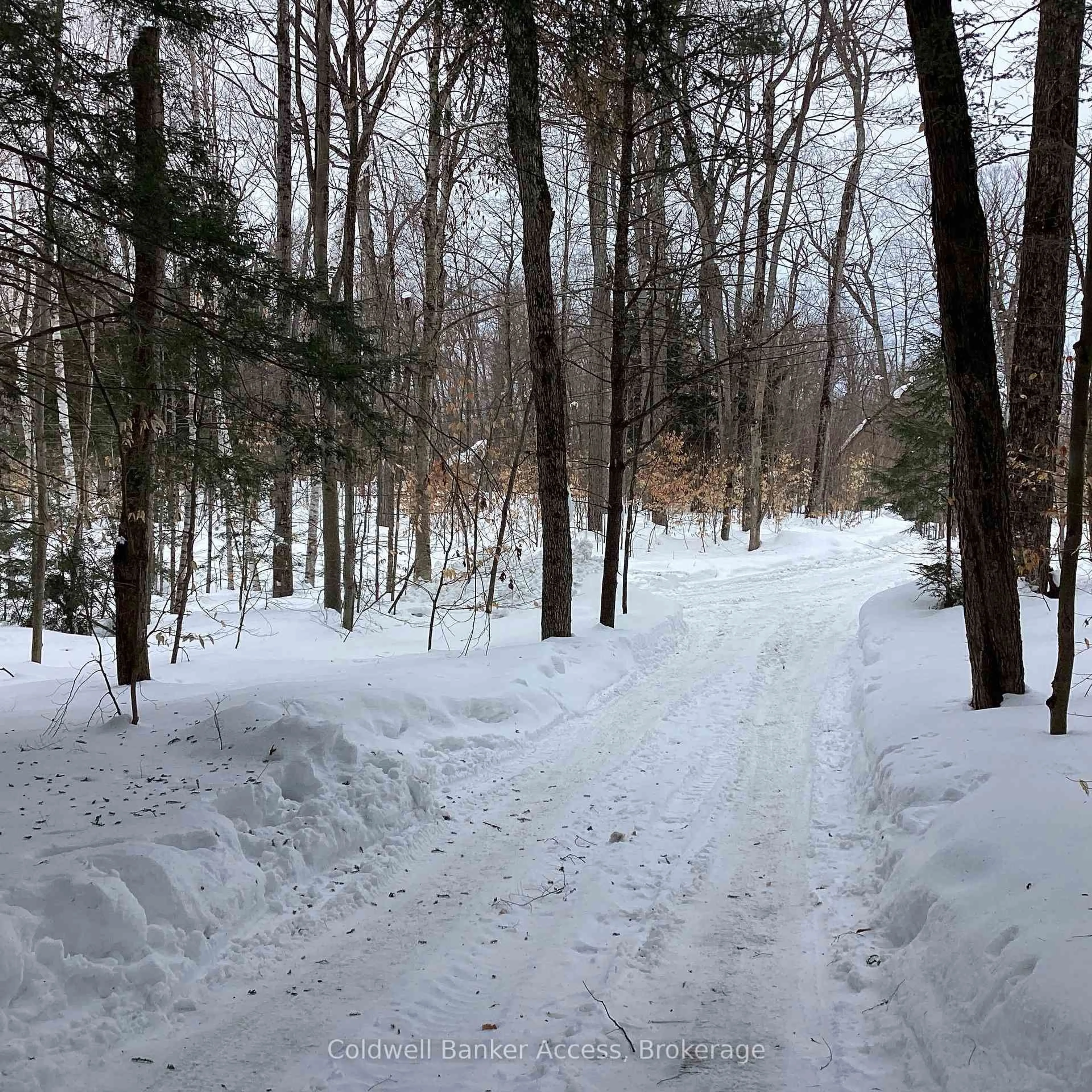 Blurry image for 1523 Moon River Rd, Muskoka Lakes Ontario P0C 1A0