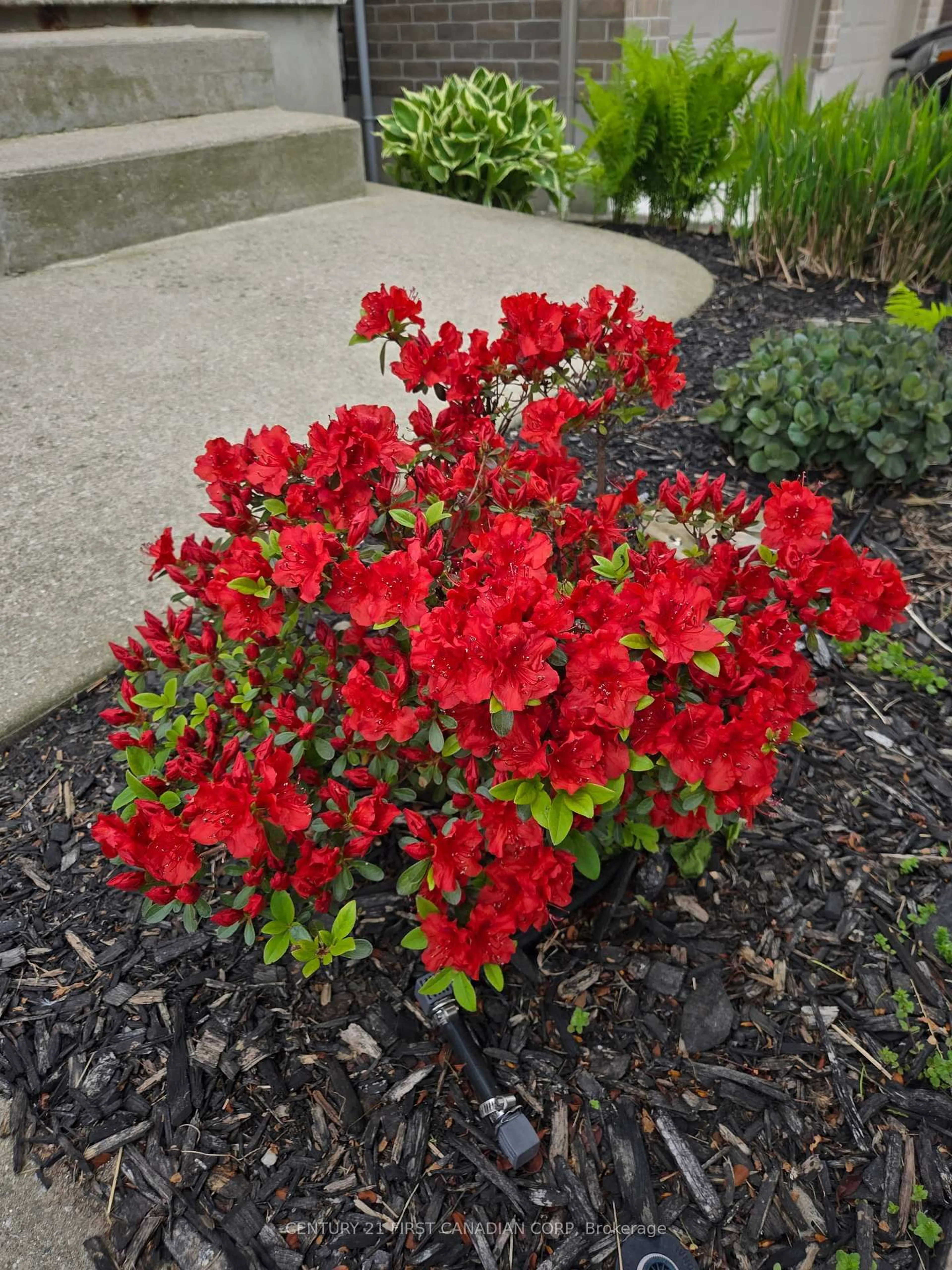 Patio, street for 777 Apricot Dr #38, London South Ontario N6K 5B3