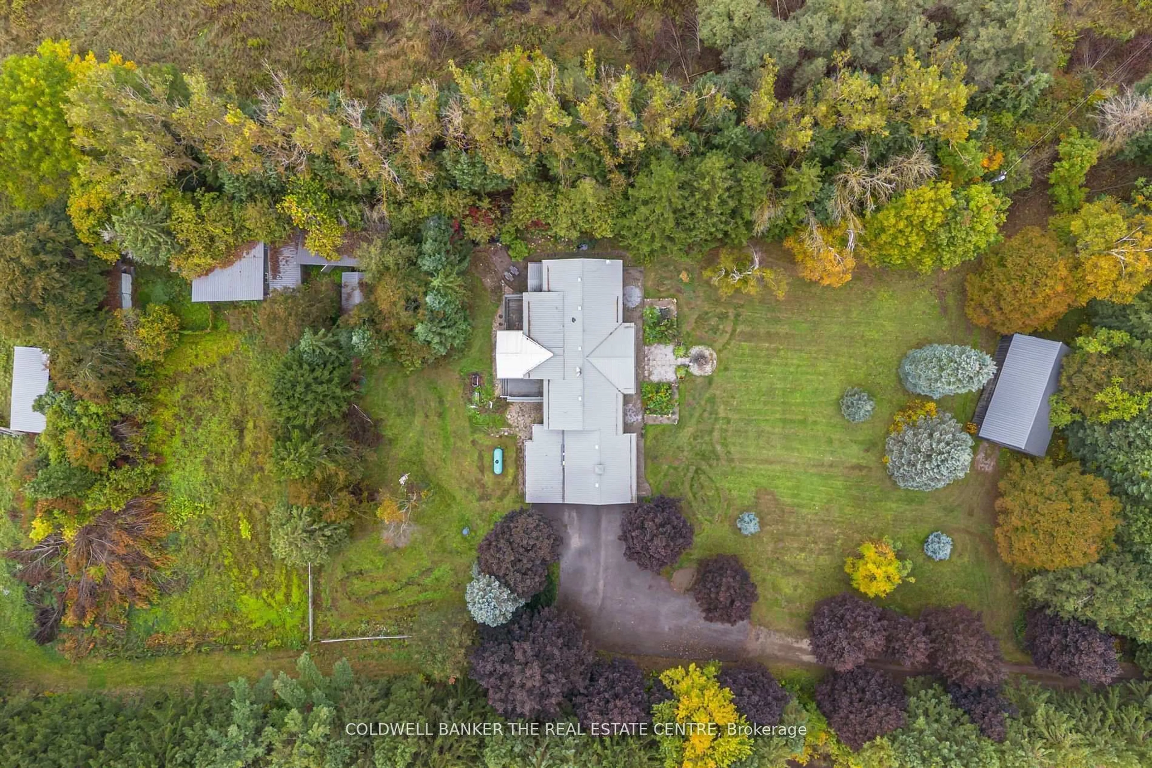 A pic from outside/outdoor area/front of a property/back of a property/a pic from drone, forest/trees view for 515490 2nd Line, Amaranth Ontario L9V 1L6