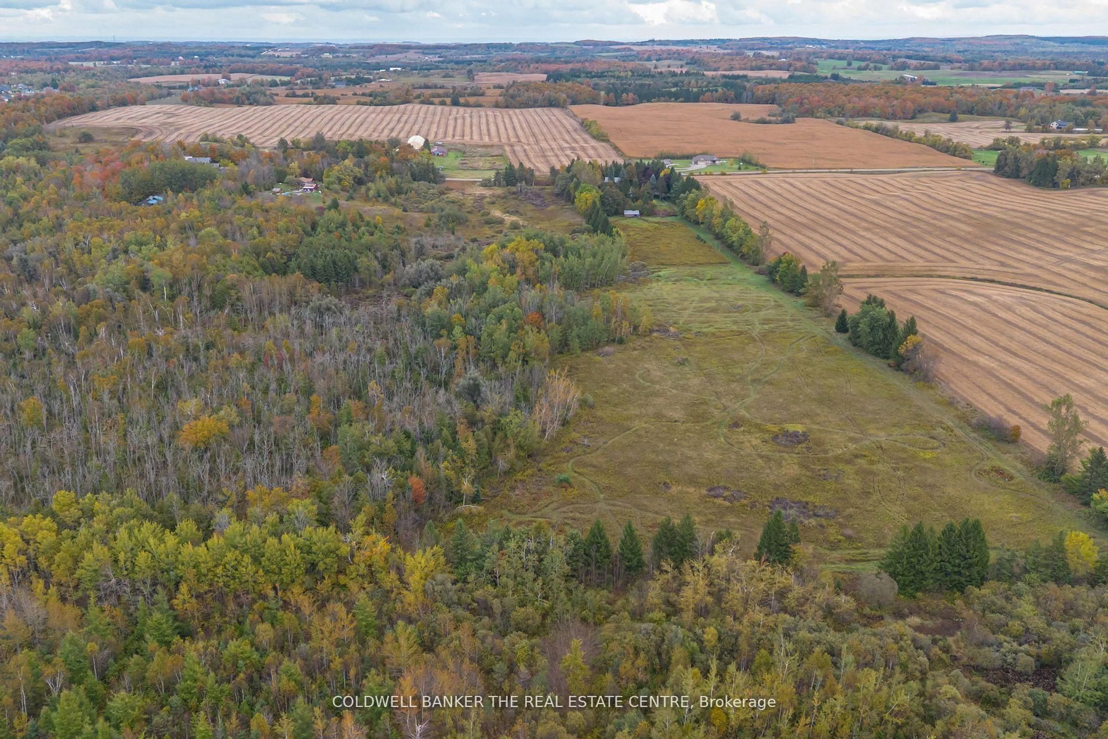A pic from outside/outdoor area/front of a property/back of a property/a pic from drone, forest/trees view for 515490 2nd Line, Amaranth Ontario L9V 1L6