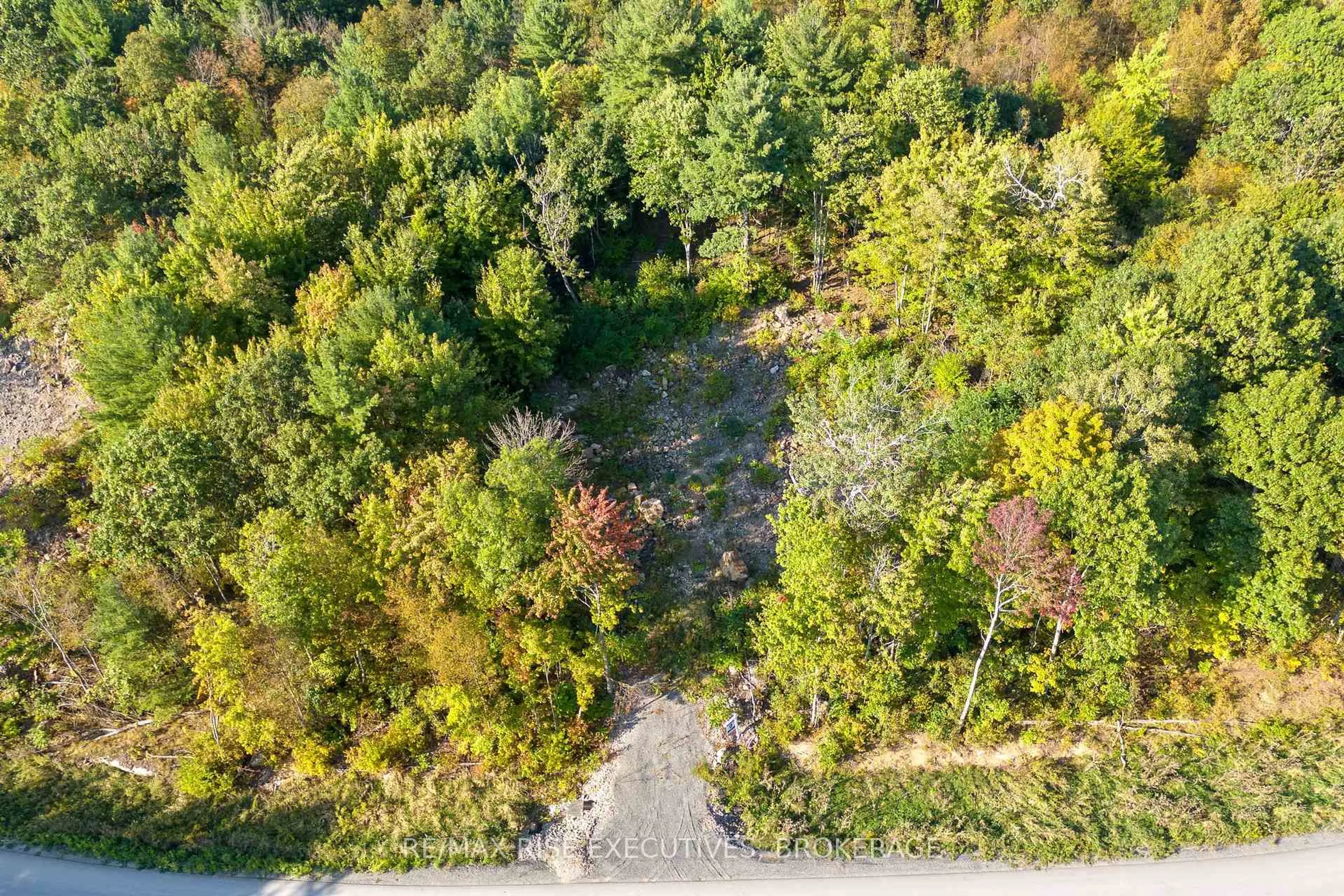 A pic from outside/outdoor area/front of a property/back of a property/a pic from drone, forest/trees view for LOT B4 HETU Rd, Front of Leeds & Seeleys Bay Ontario K7G 2V3
