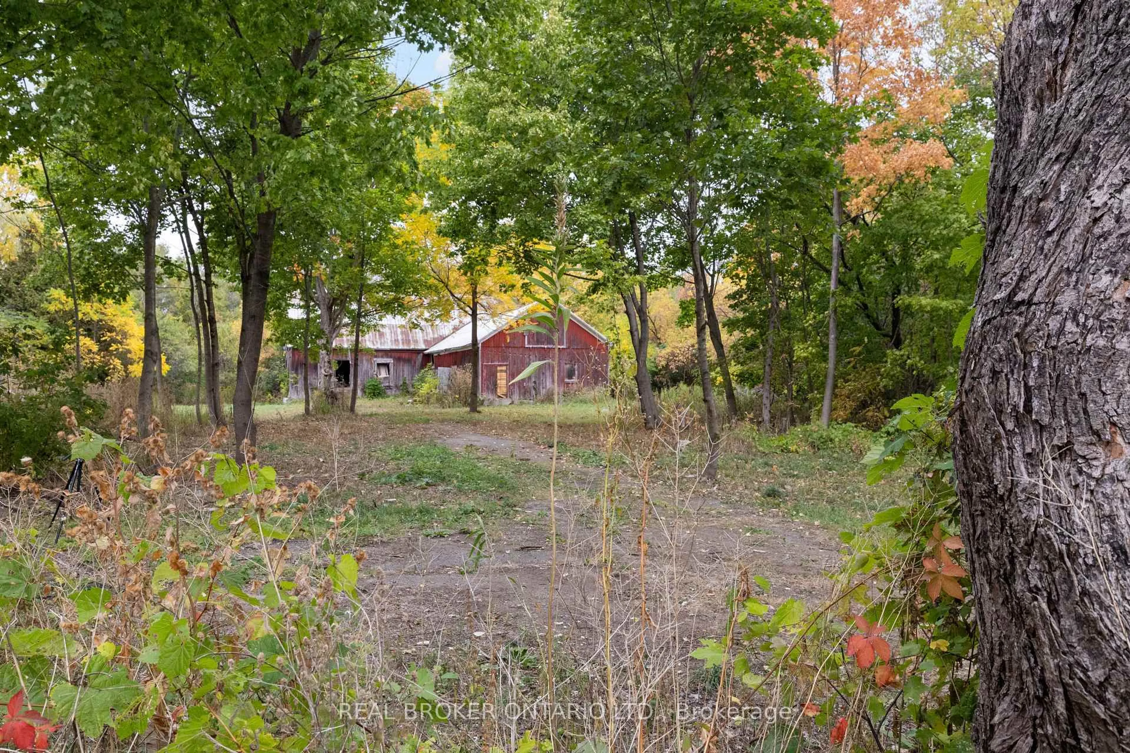 Shed for 2099 County  20 Rd, North Grenville Ontario K0G 1T0