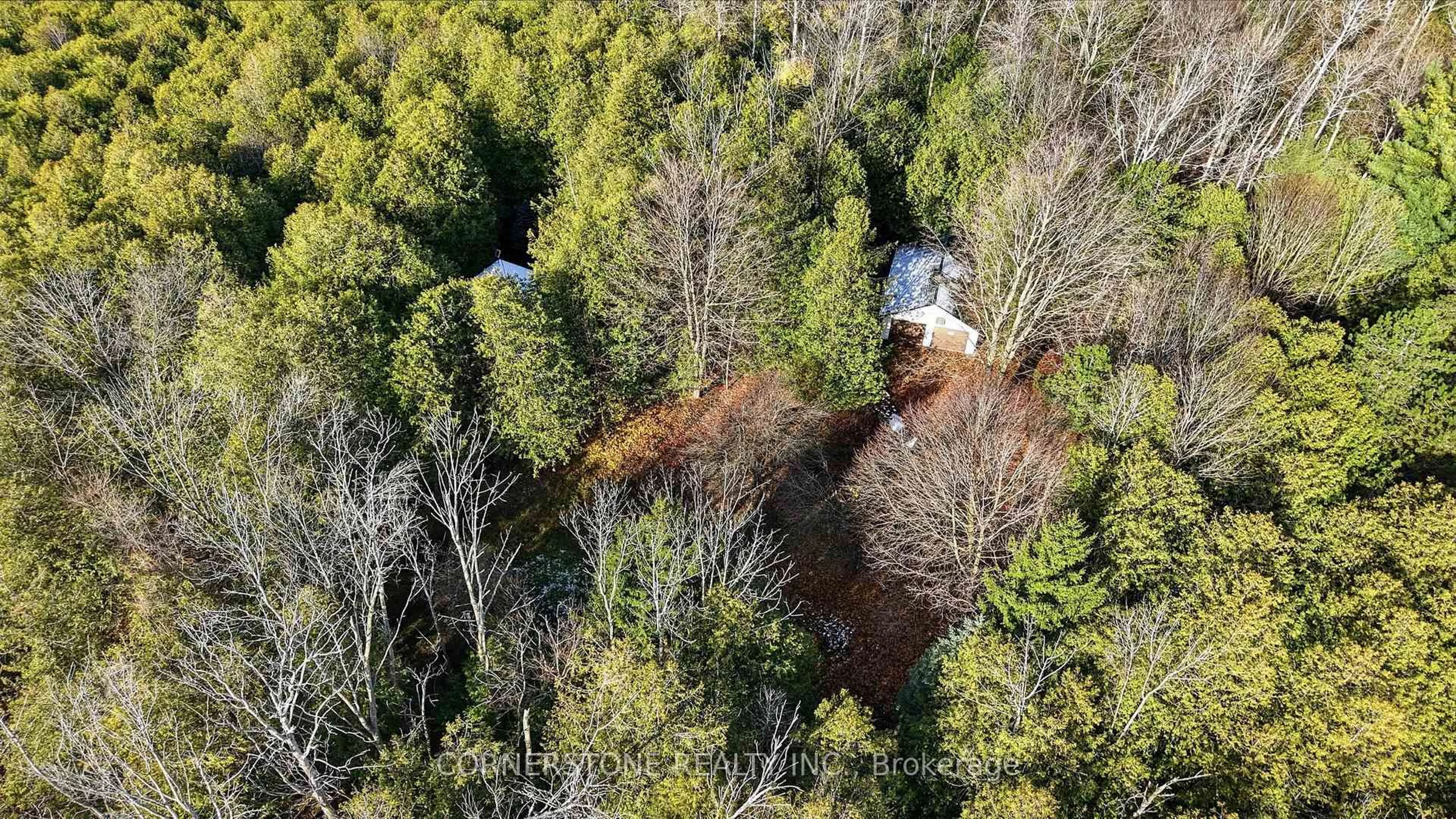 A pic from outside/outdoor area/front of a property/back of a property/a pic from drone, forest/trees view for 86315 Kingsbridge Line, Ashfield-Colborne-Wawanosh Ontario N0G 2H0