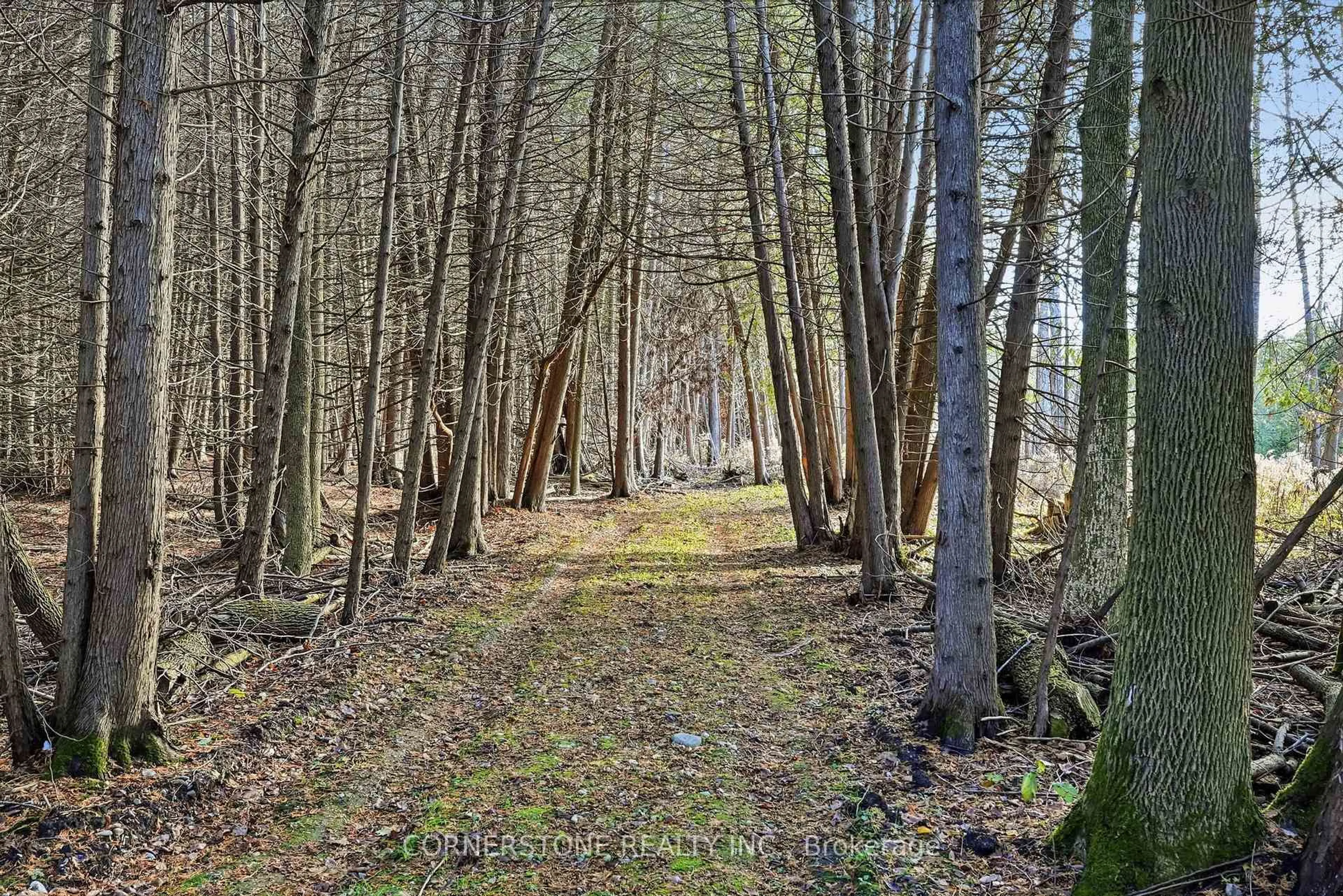 Unknown for 86315 Kingsbridge Line, Ashfield-Colborne-Wawanosh Ontario N0G 2H0