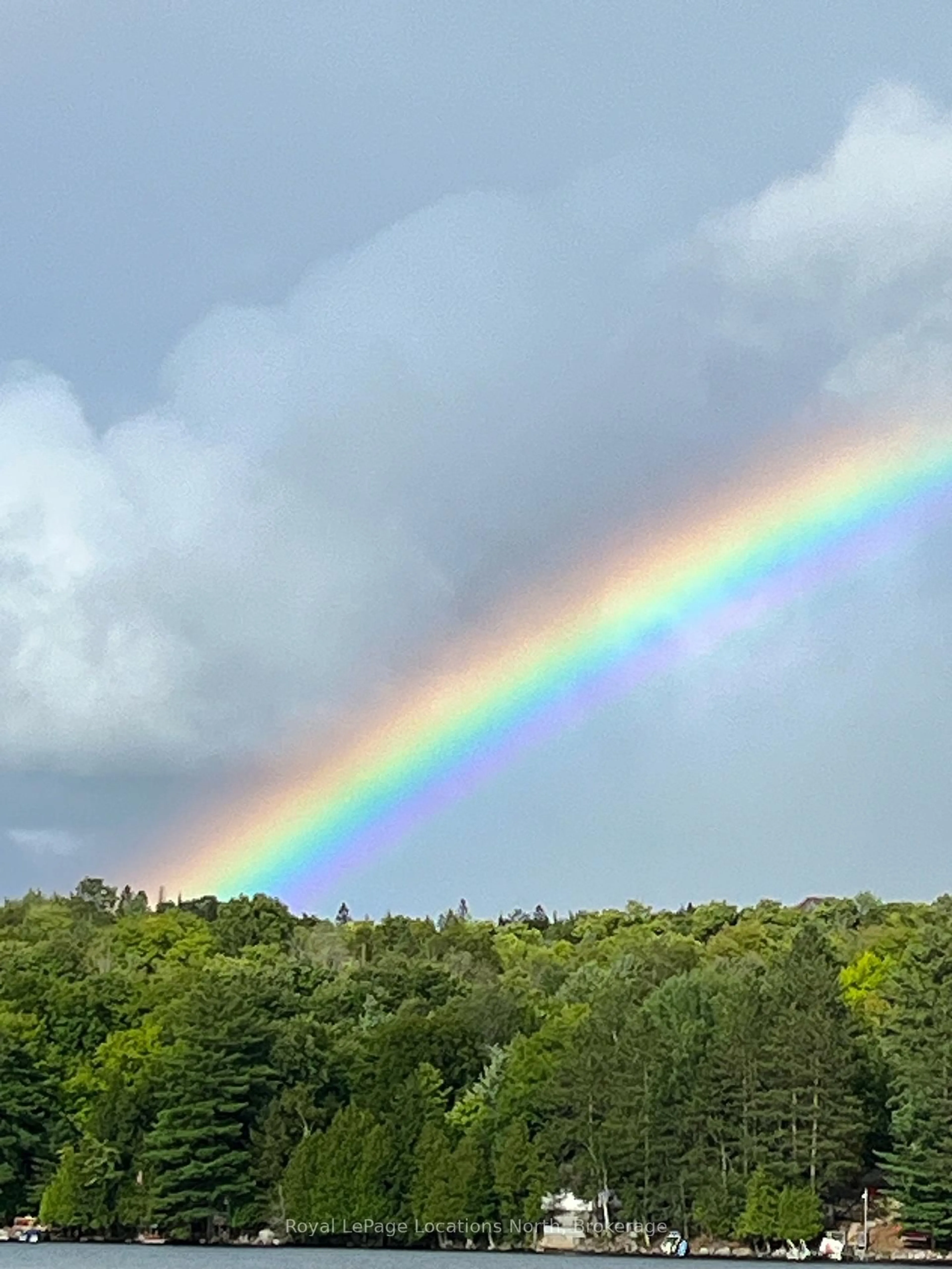 Blurry image for 1433 South Horn Lk Rd, Ryerson Ontario P0A 1C0