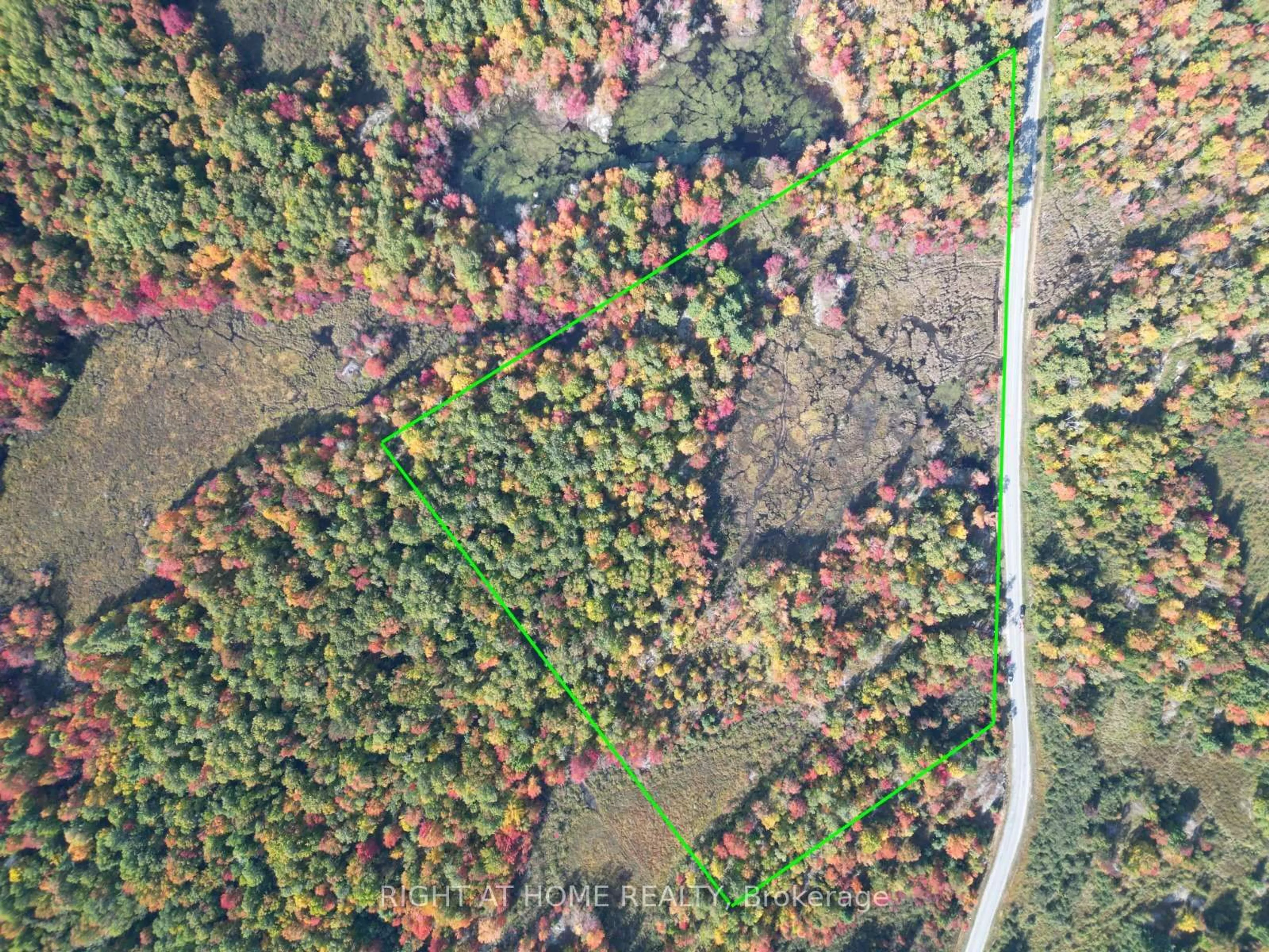 A pic from outside/outdoor area/front of a property/back of a property/a pic from drone, forest/trees view for 1115 Flinton Rd, Tweed Ontario K0K 3J0