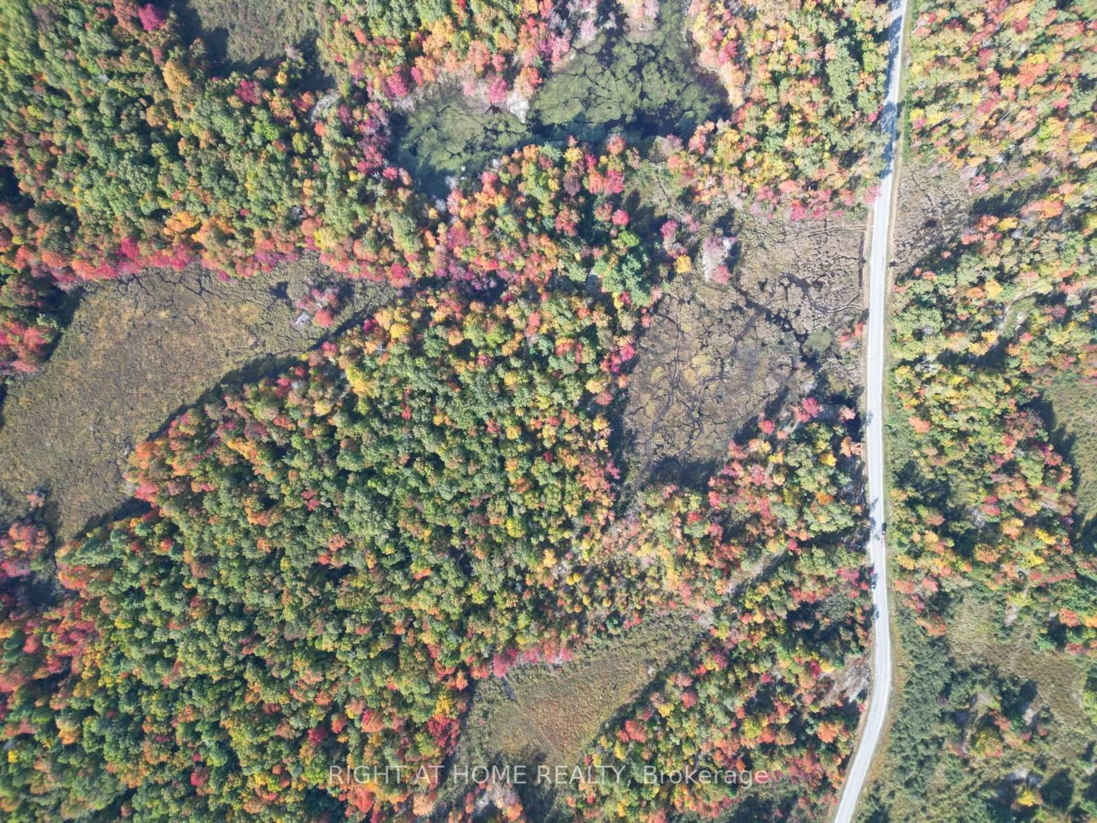 A pic from outside/outdoor area/front of a property/back of a property/a pic from drone, forest/trees view for 1115 Flinton Rd, Tweed Ontario K0K 3J0