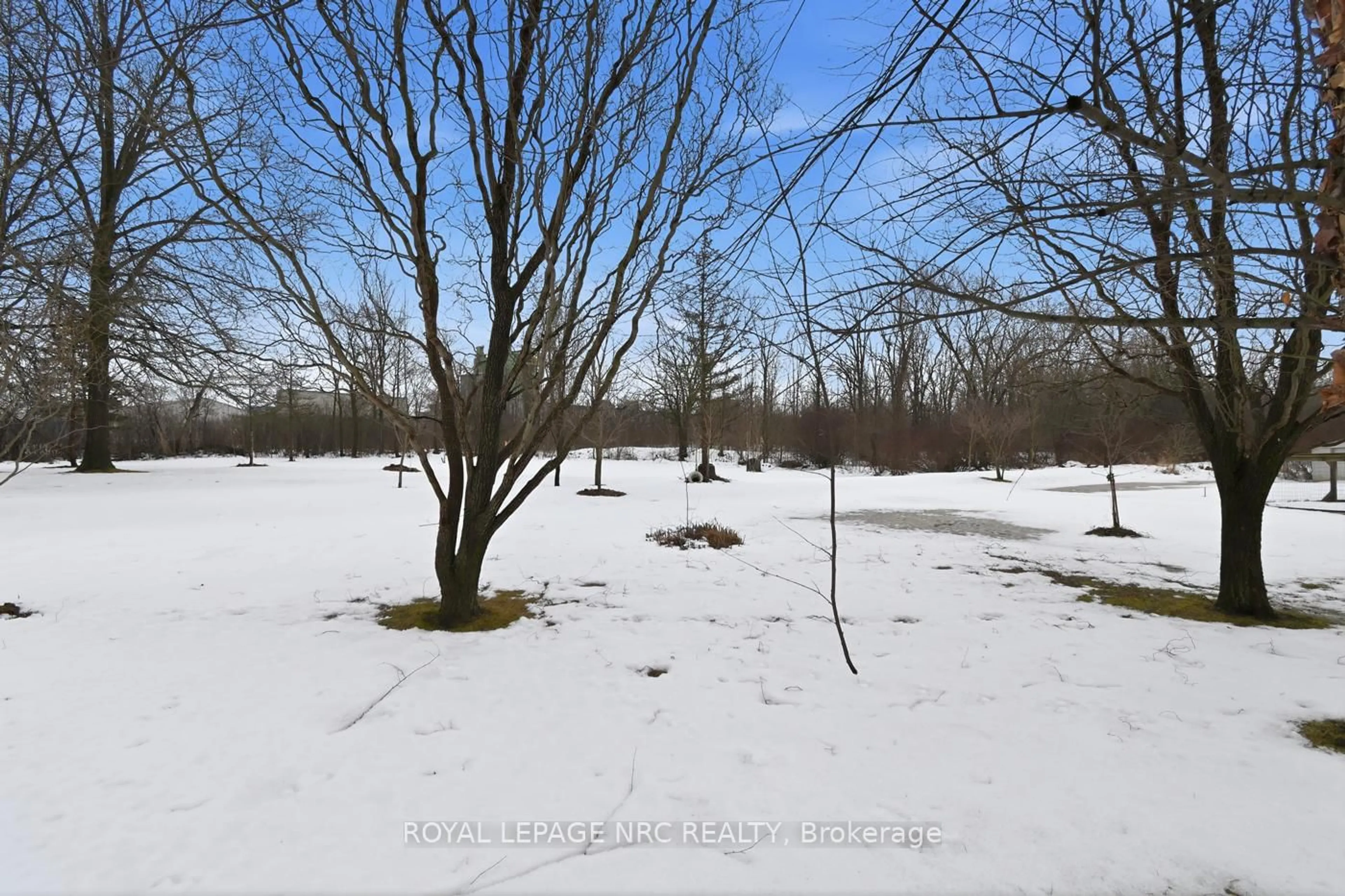 A pic from outside/outdoor area/front of a property/back of a property/a pic from drone, forest/trees view for 14 Terrace Ave, Welland Ontario L3C 2C4