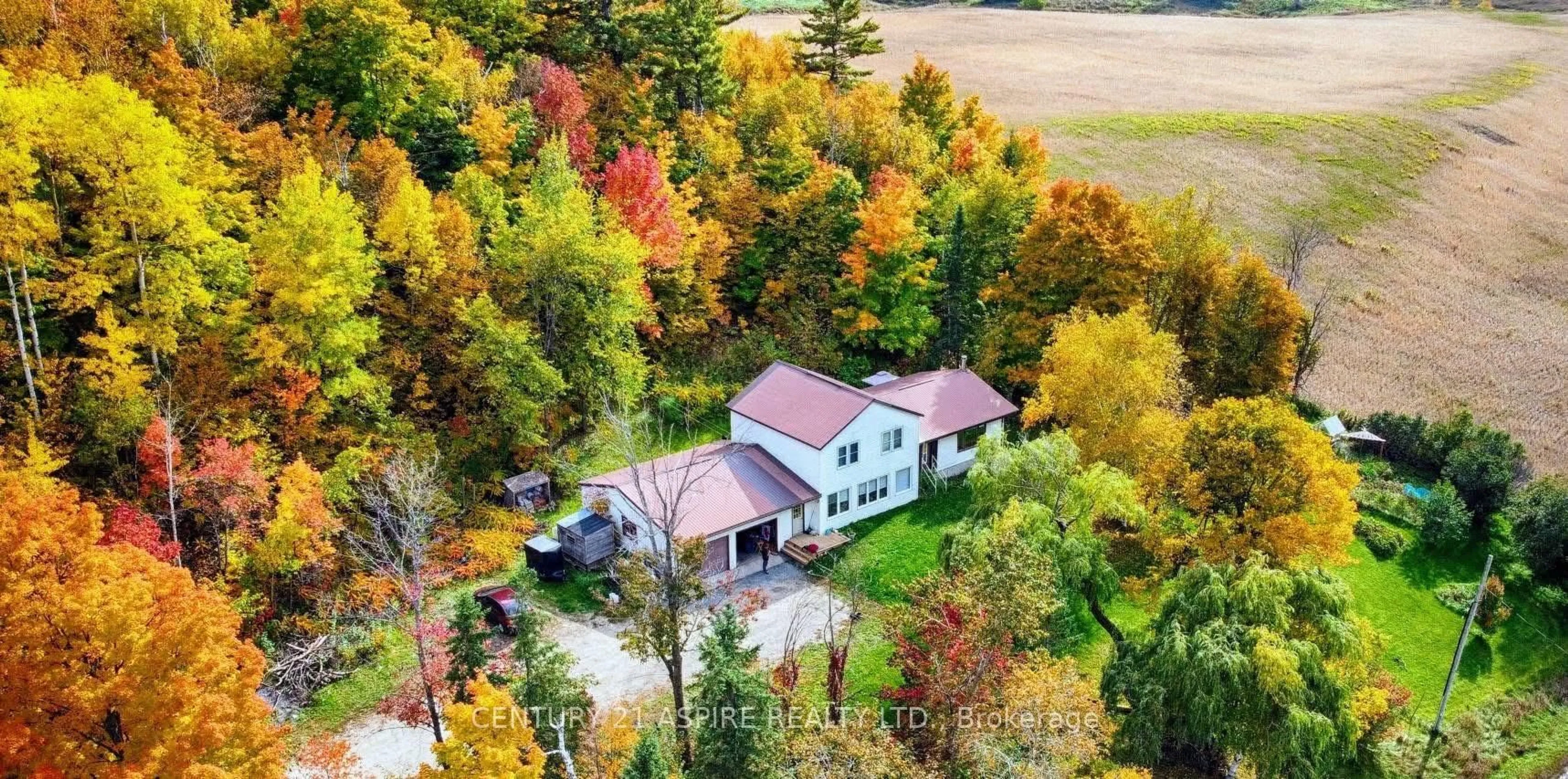 A pic from outside/outdoor area/front of a property/back of a property/a pic from drone, forest/trees view for 374 Lapasse Rd, Beachburg Ontario K0J 1C0