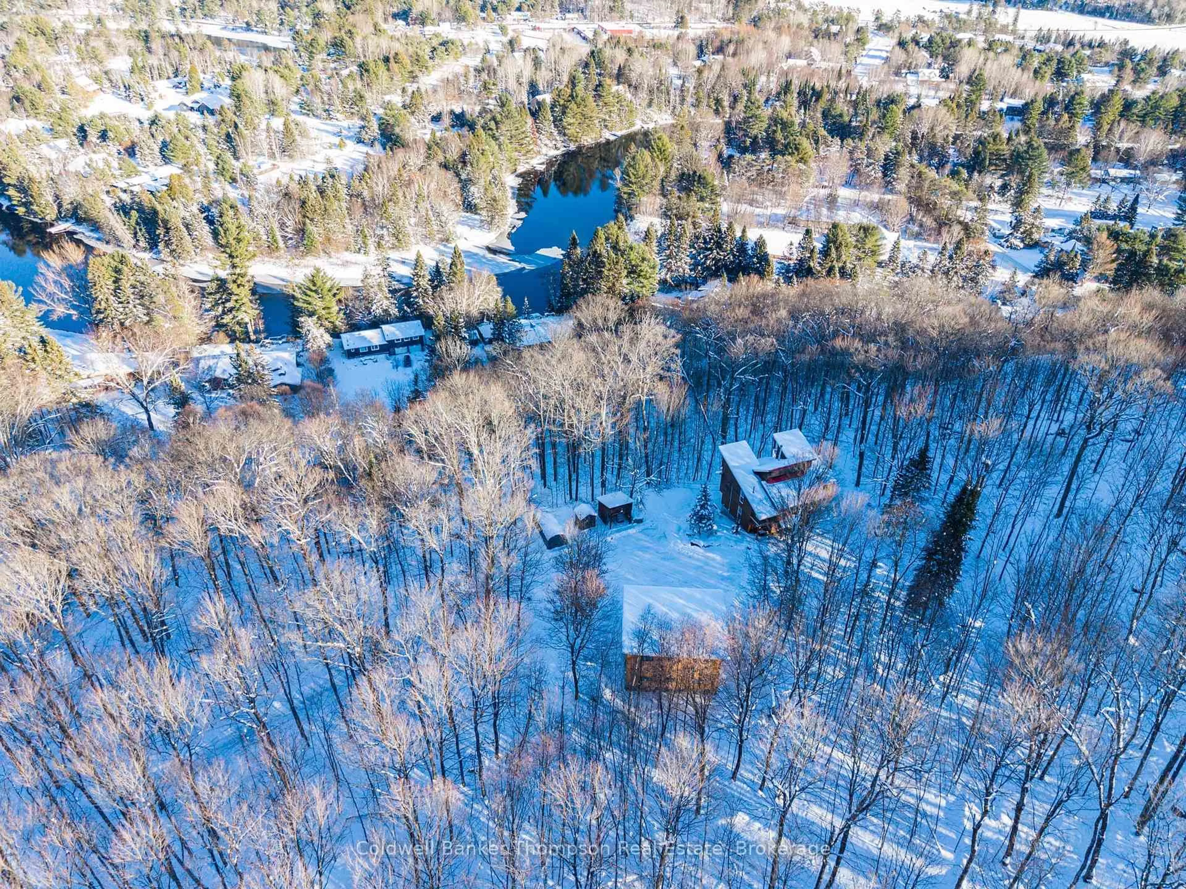 A pic from outside/outdoor area/front of a property/back of a property/a pic from drone, forest/trees view for 869 North Mary Lake Rd, Huntsville Ontario P1H 1S4