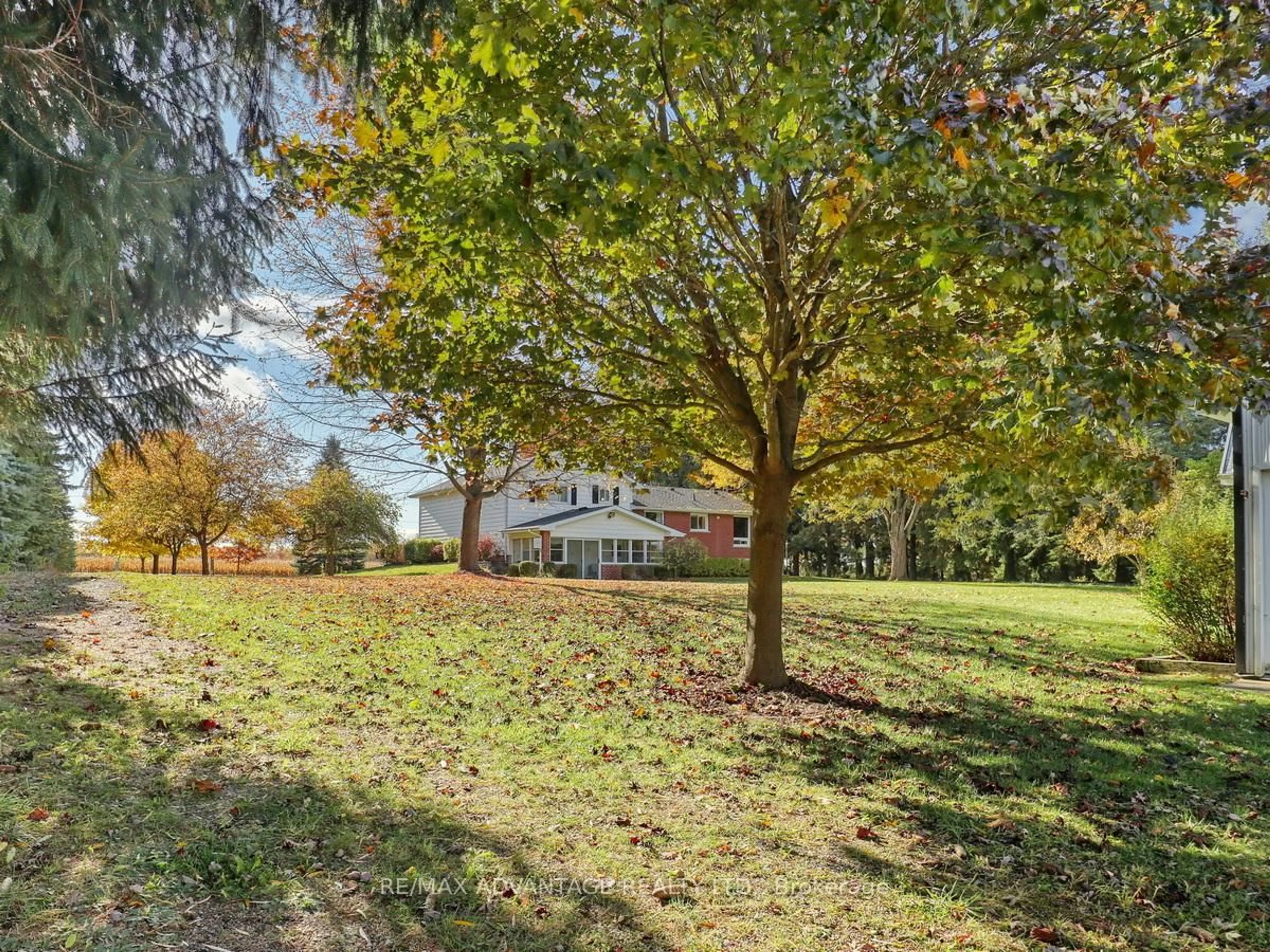 A pic from outside/outdoor area/front of a property/back of a property/a pic from drone, forest/trees view for 17248 Wyton Dr, Thames Centre Ontario N0M 2P0