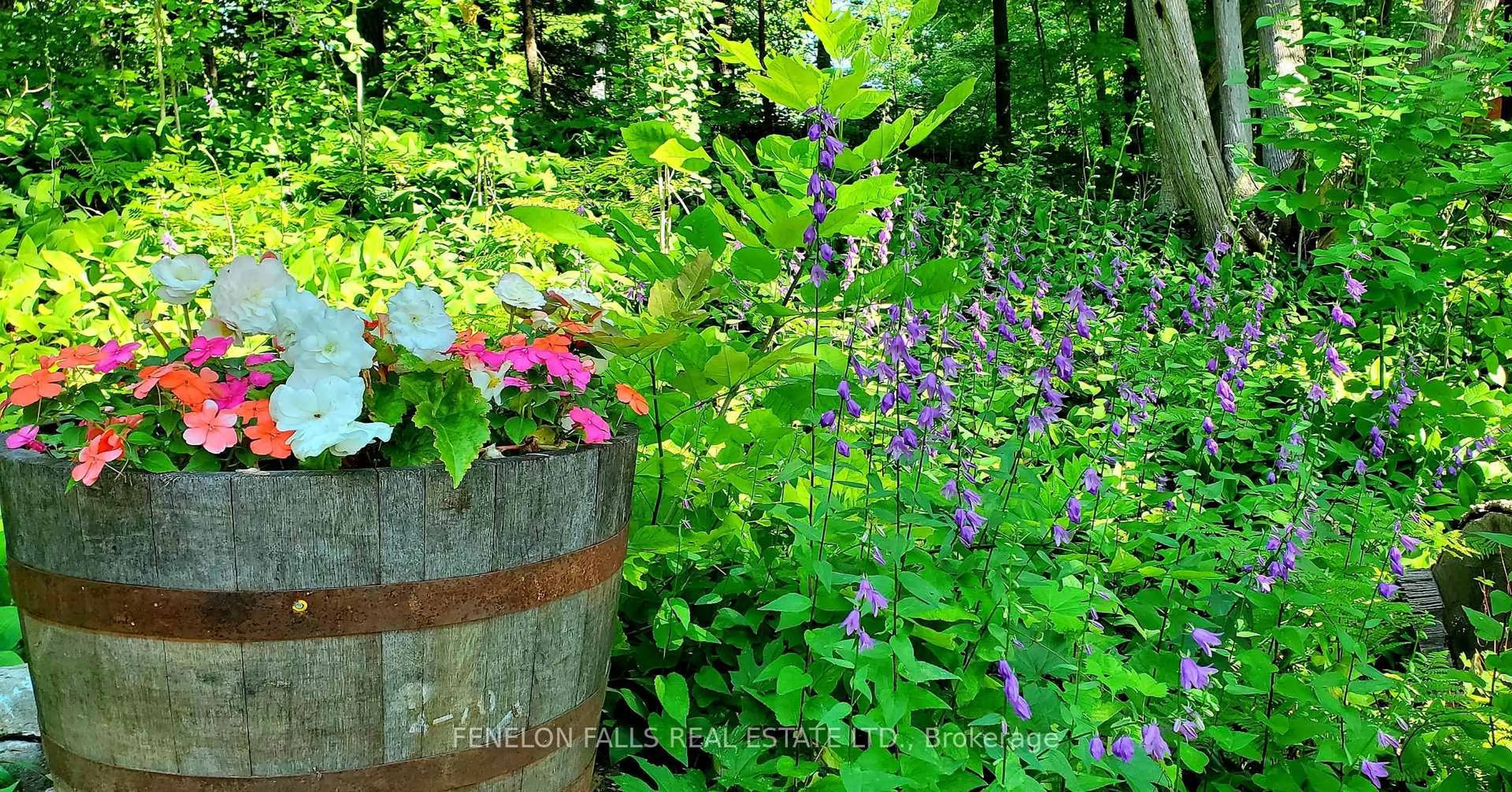 Patio, street for 168 Lakebreeze Rd, Kawartha Lakes Ontario K0M 1N0