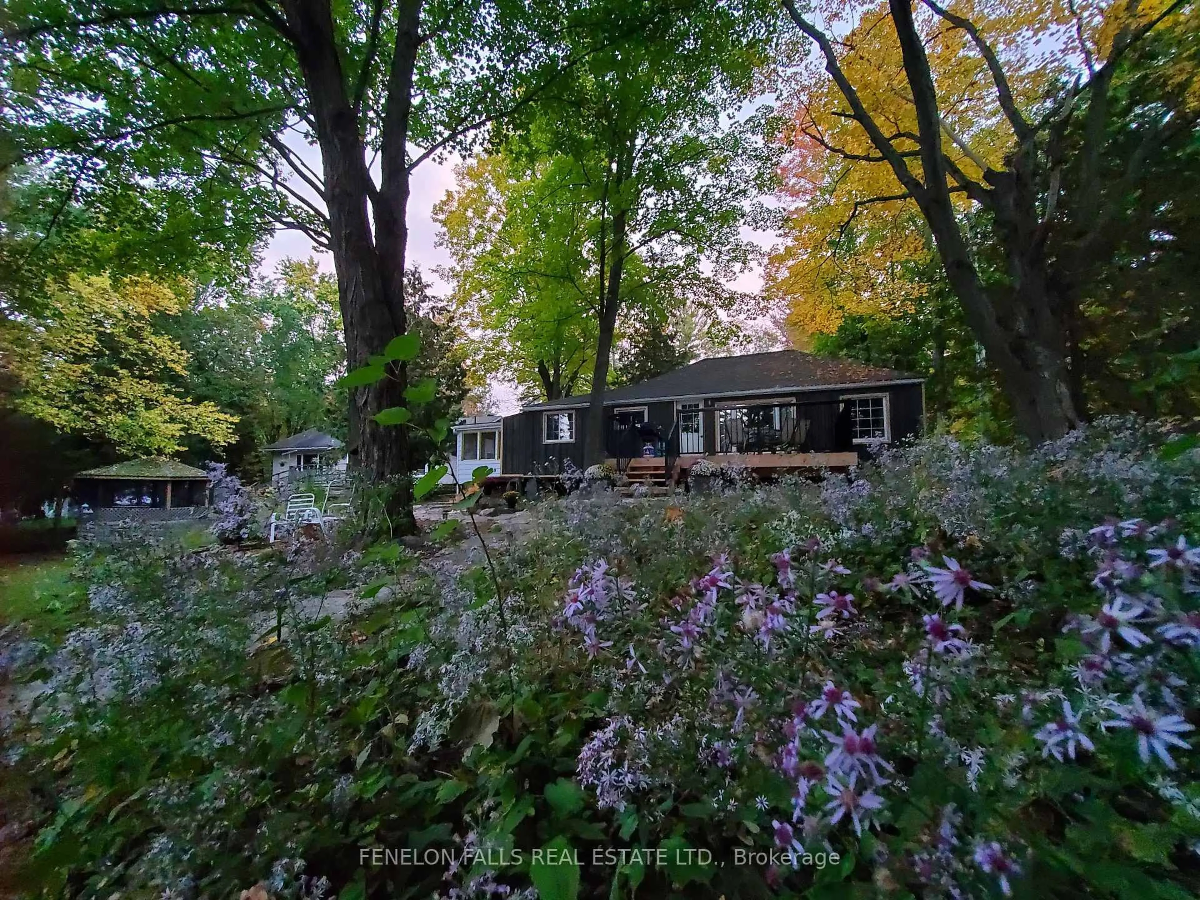 A pic from outside/outdoor area/front of a property/back of a property/a pic from drone, forest/trees view for 168 Lakebreeze Rd, Kawartha Lakes Ontario K0M 1N0