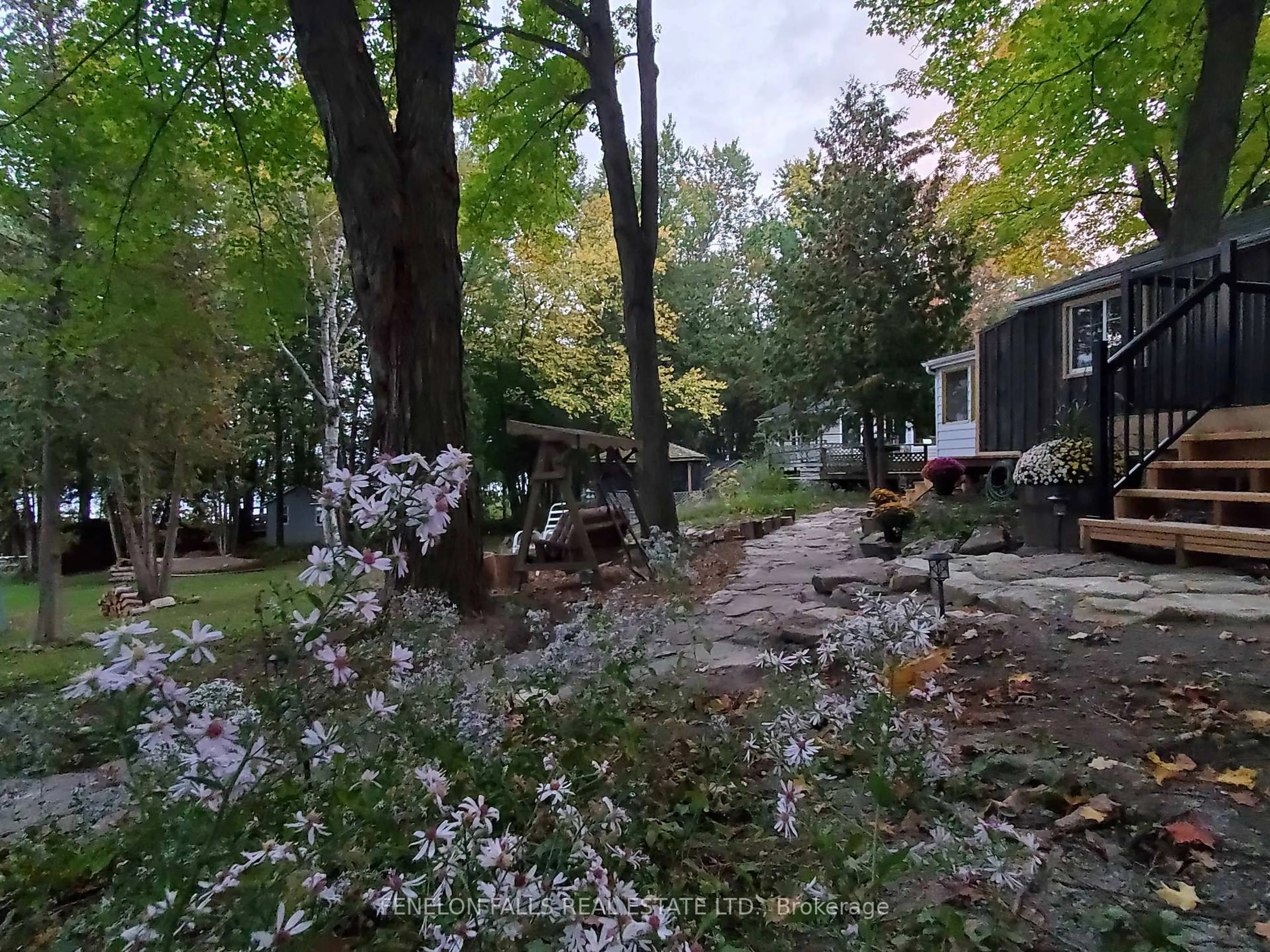 A pic from outside/outdoor area/front of a property/back of a property/a pic from drone, forest/trees view for 168 Lakebreeze Rd, Kawartha Lakes Ontario K0M 1N0