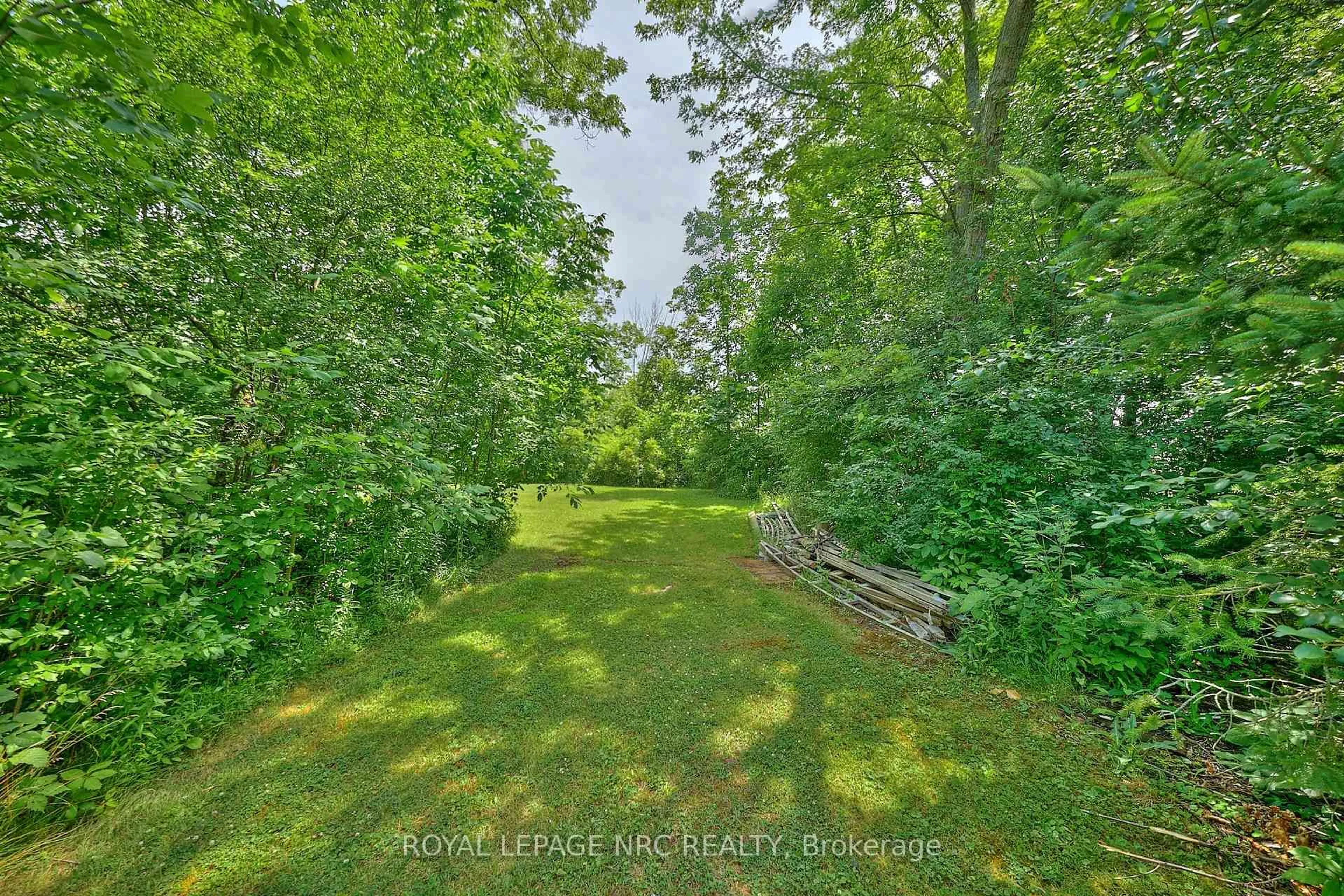 A pic from outside/outdoor area/front of a property/back of a property/a pic from drone, forest/trees view for 10266 Willodell Rd, Niagara Falls Ontario L0S 1K0