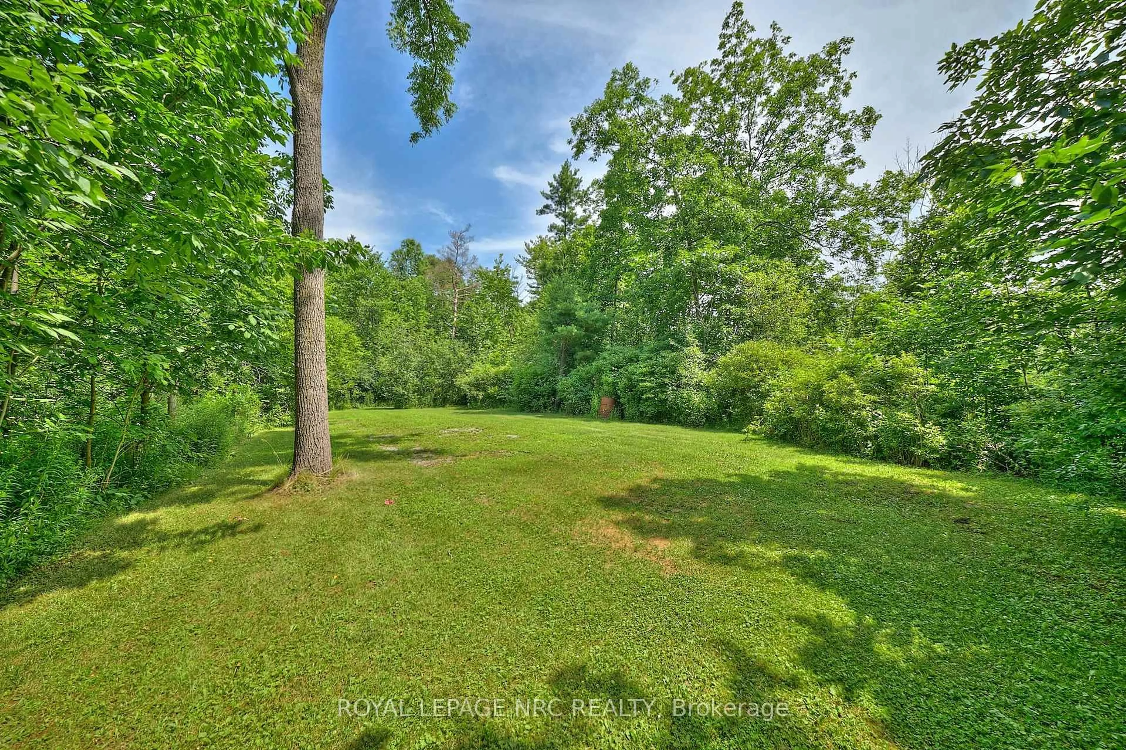 A pic from outside/outdoor area/front of a property/back of a property/a pic from drone, forest/trees view for 10266 Willodell Rd, Niagara Falls Ontario L0S 1K0