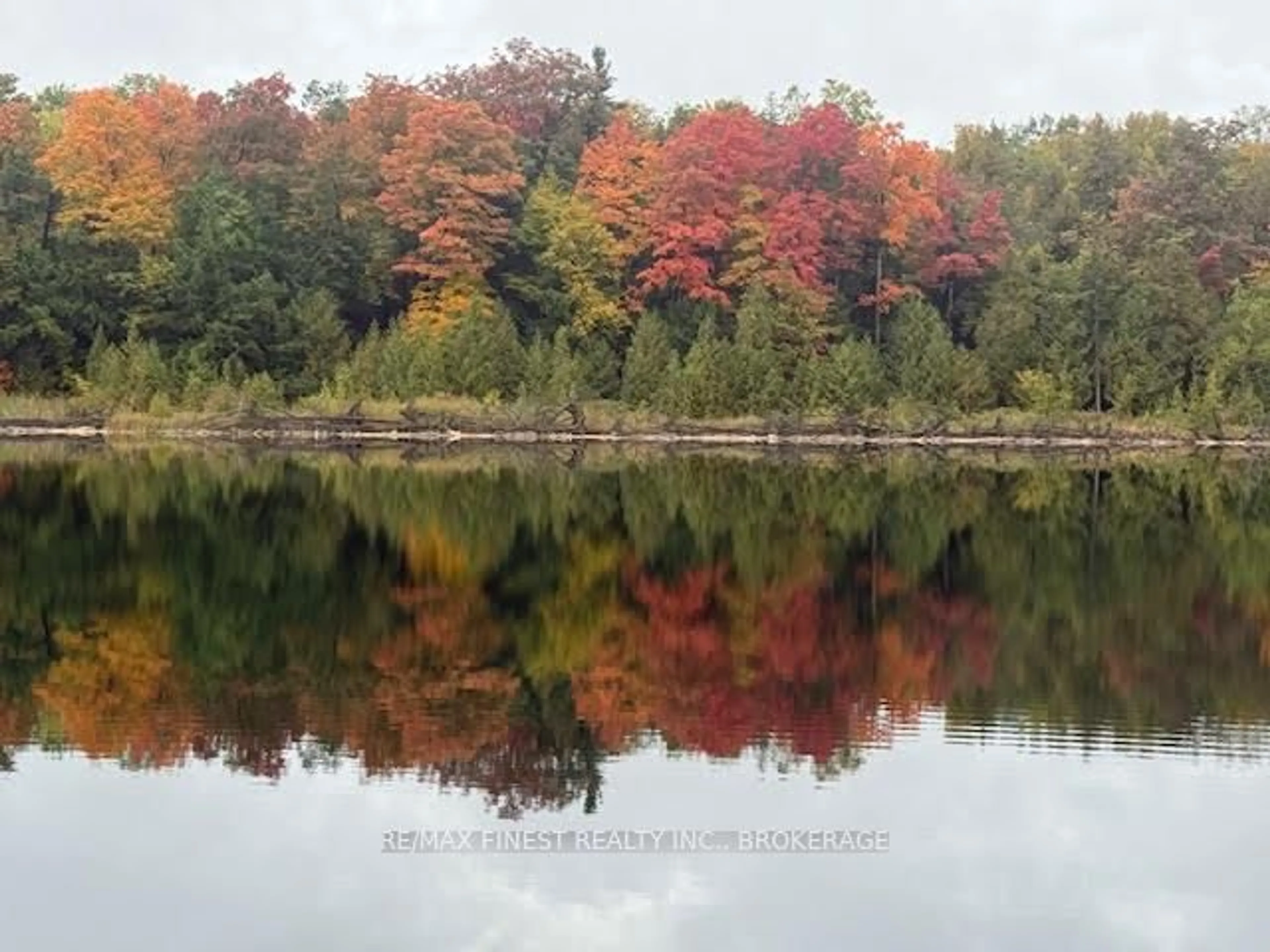 Blurry image for 4868 Battersea Rd, Bissett Creek Ontario K0H 2H0