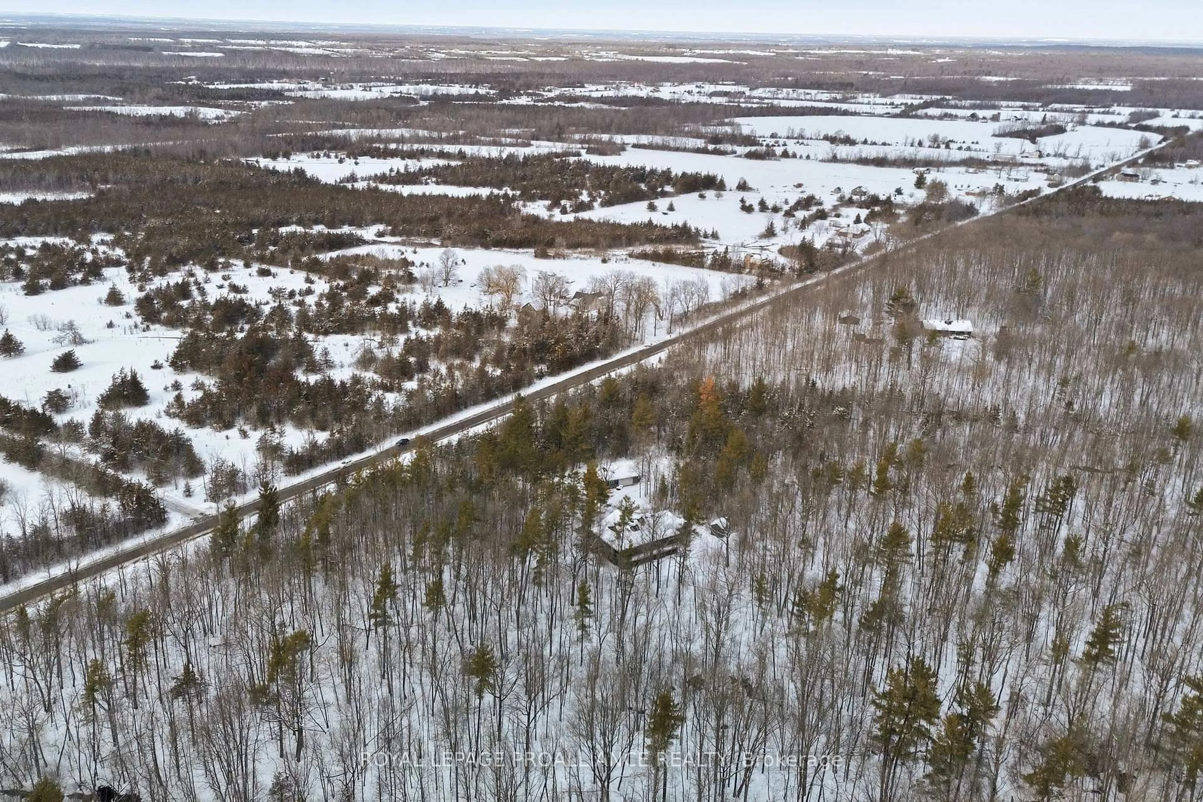 A pic from outside/outdoor area/front of a property/back of a property/a pic from drone, forest/trees view for 602 Elmbrook Rd, Prince Edward County Ontario K0K 2T0