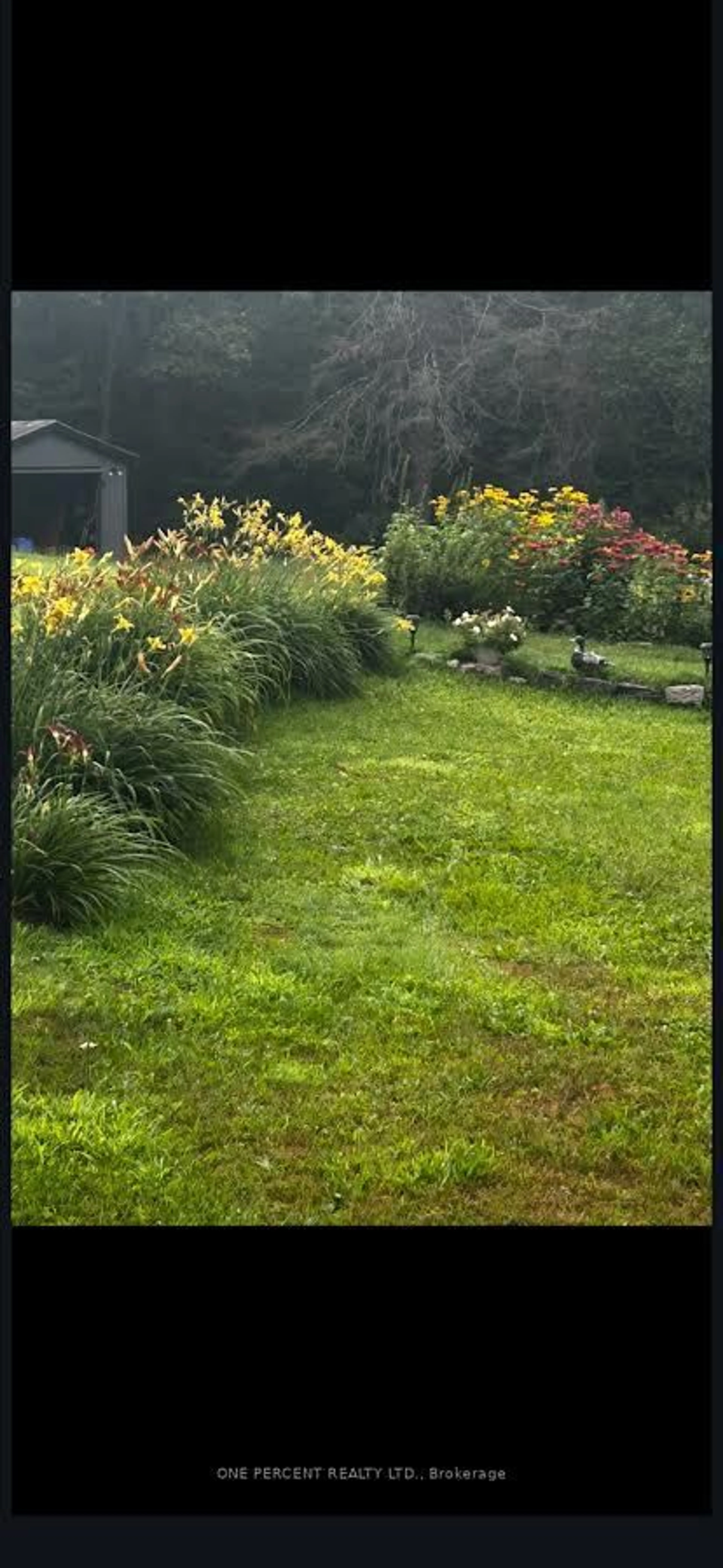 Unknown for 2551 Yearley Rd, Huntsville Ontario P0B 1M0