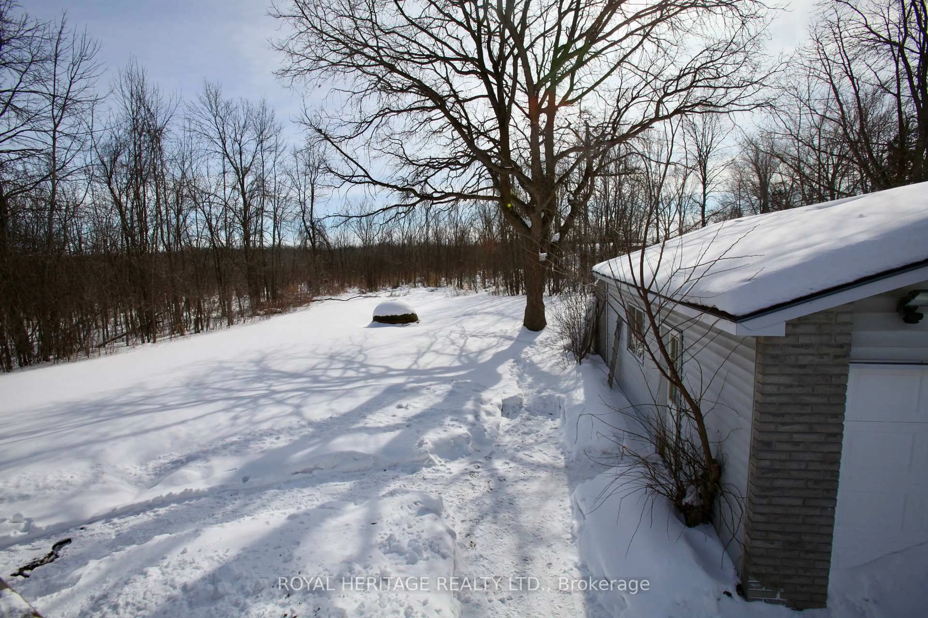 A pic from outside/outdoor area/front of a property/back of a property/a pic from drone, forest/trees view for 444 Lazier Rd, Shannonville Ontario K0K 3A0