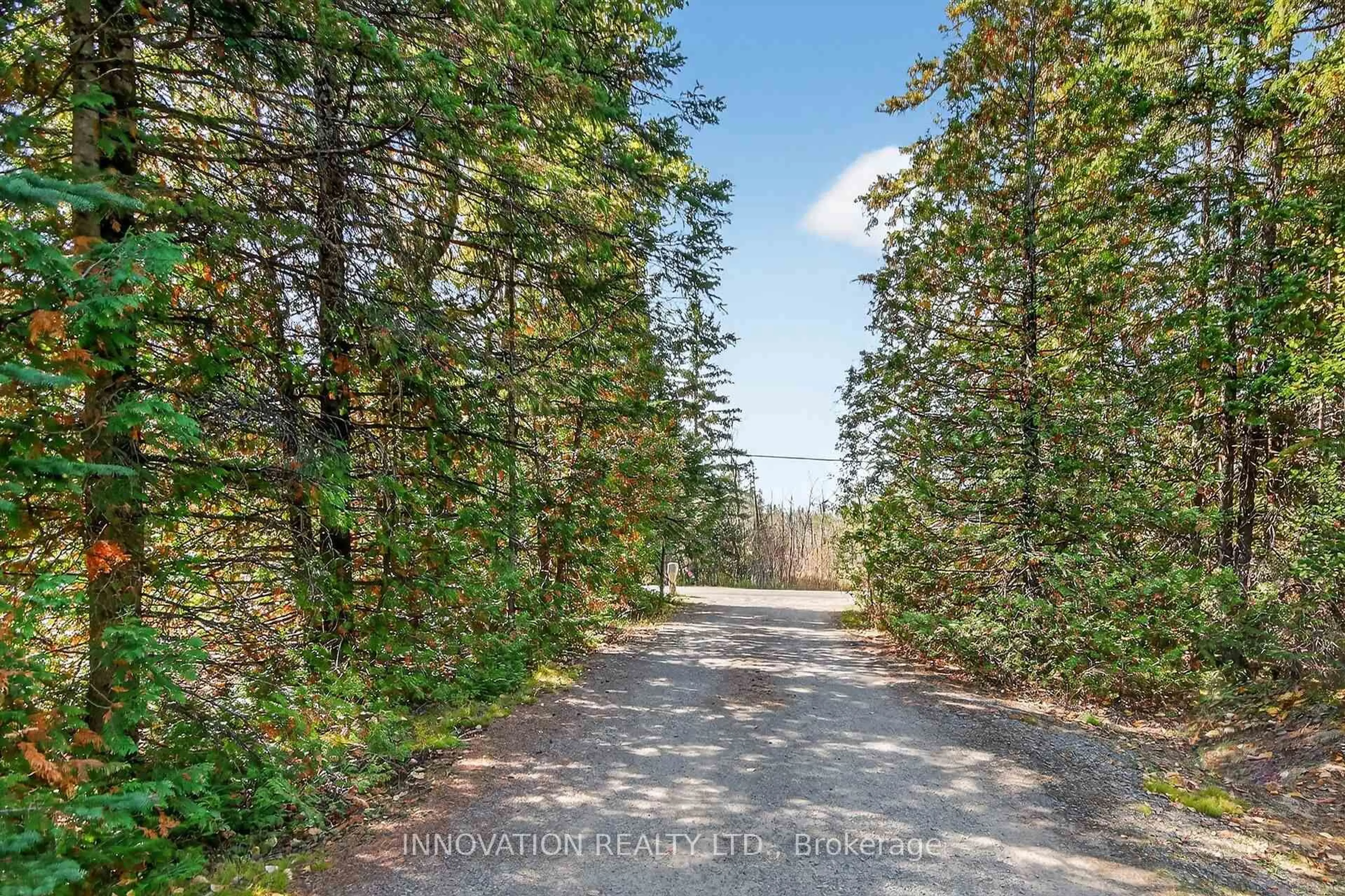 A pic from outside/outdoor area/front of a property/back of a property/a pic from drone, forest/trees view for 380 Brunton Side Rd, R.R. #3 Rd, Ashton Ontario K0A 1B0
