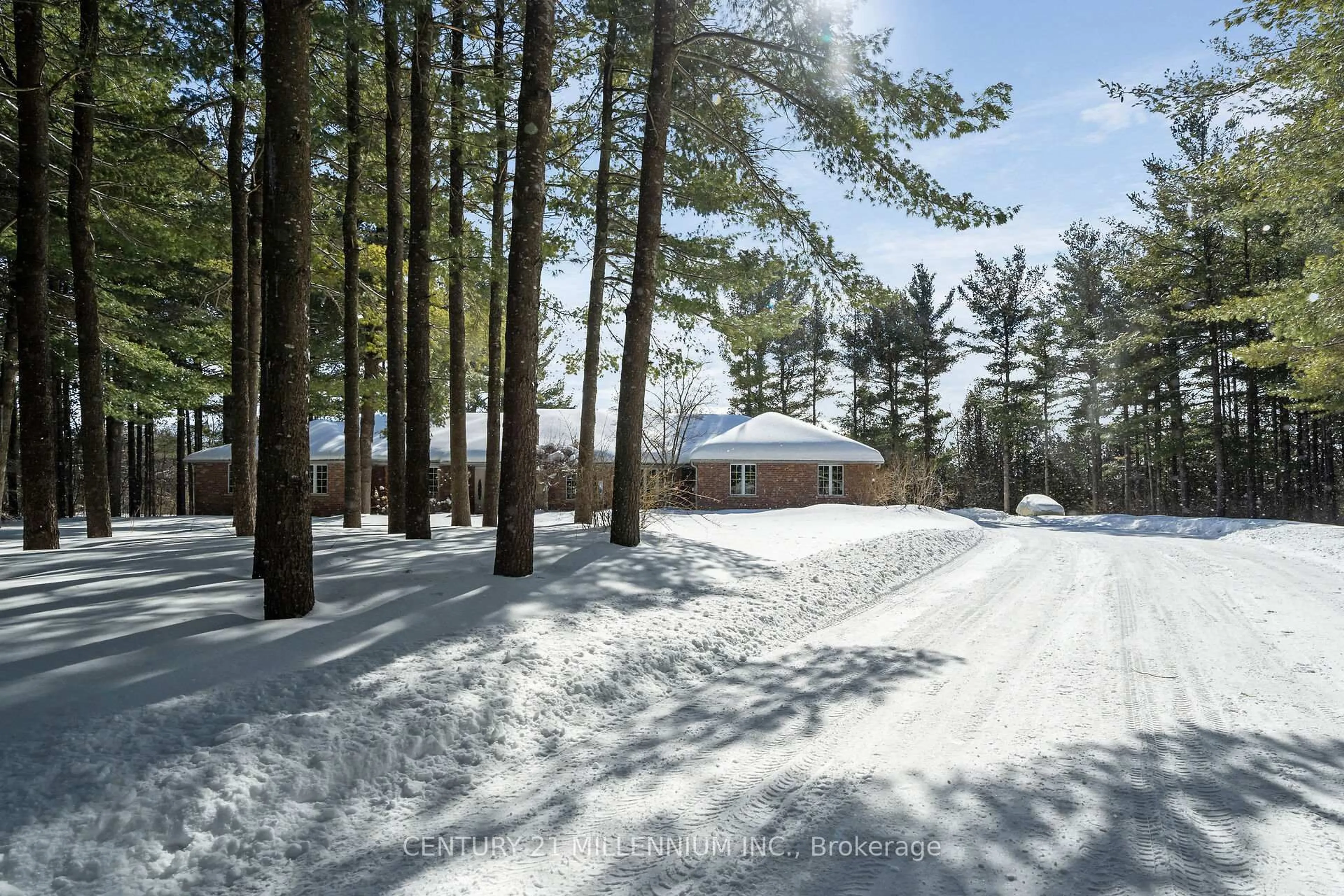 A pic from outside/outdoor area/front of a property/back of a property/a pic from drone, forest/trees view for 41 Pine Ridge Rd, Erin Ontario N0B 1T0