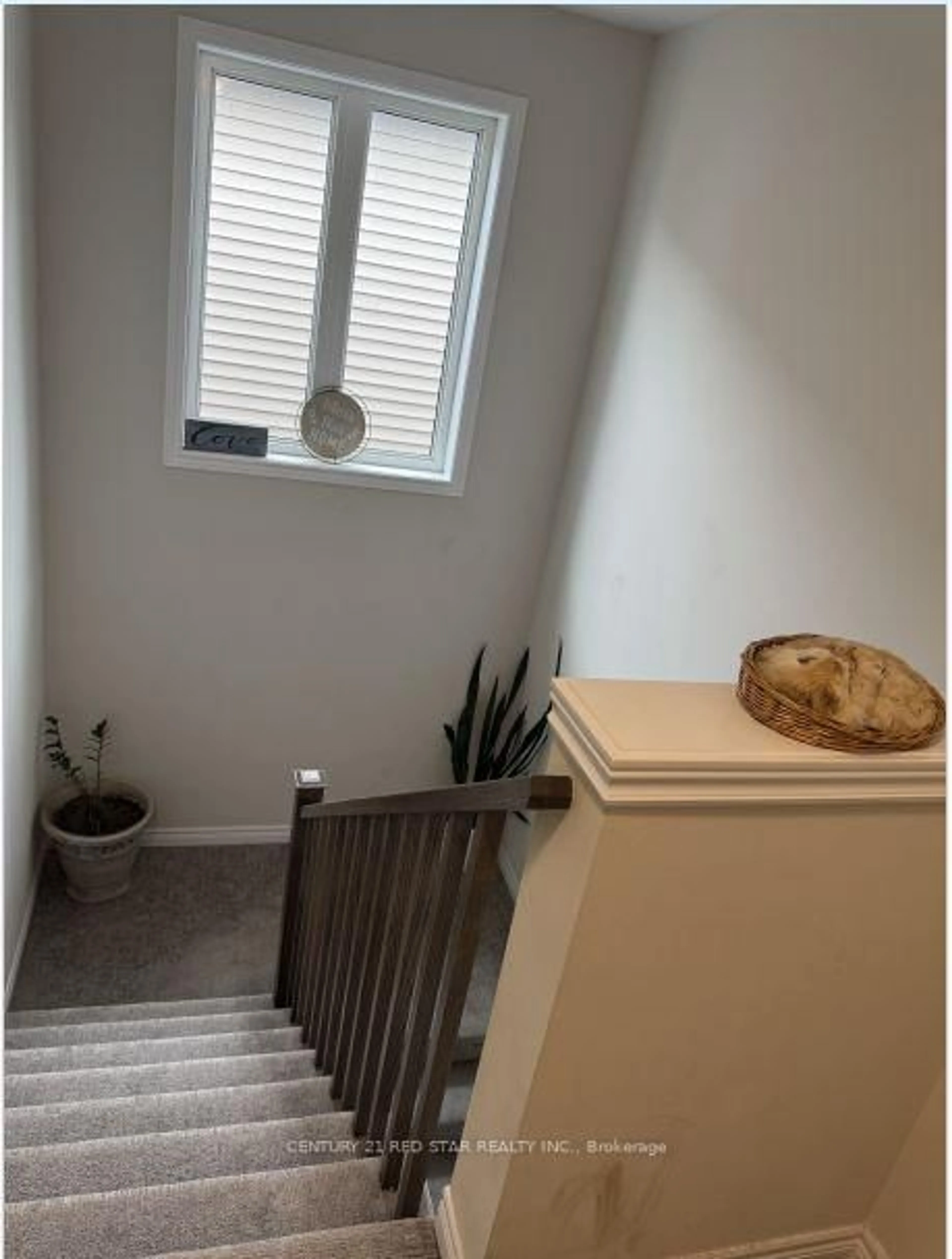 A pic of a room for 90 Marion St, Hamilton Ontario L0R 1W0