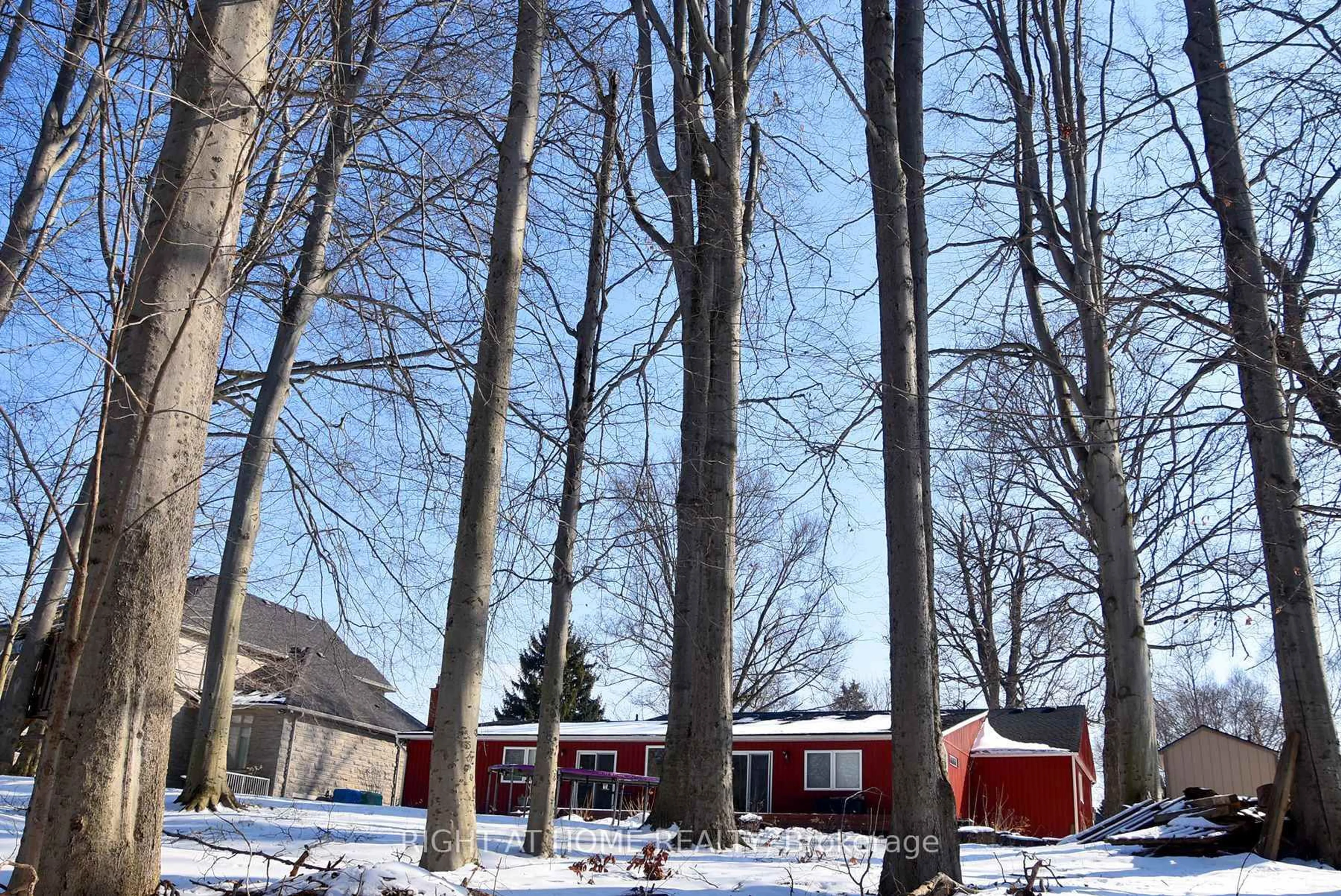 Patio, forest/trees view for 994 Haist St, Pelham Ontario L0S 1E4