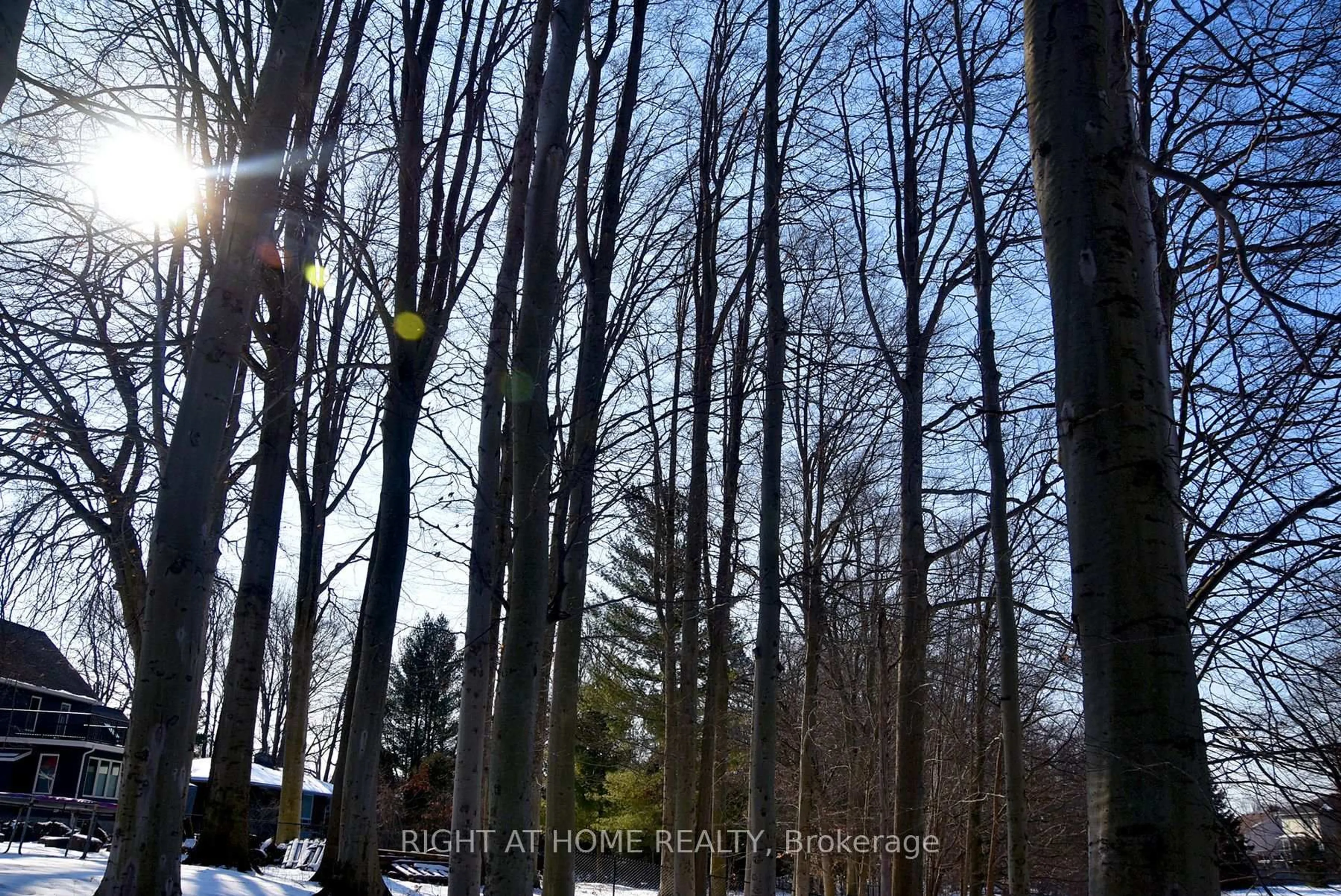 Blurry image for 994 Haist St, Pelham Ontario L0S 1E4