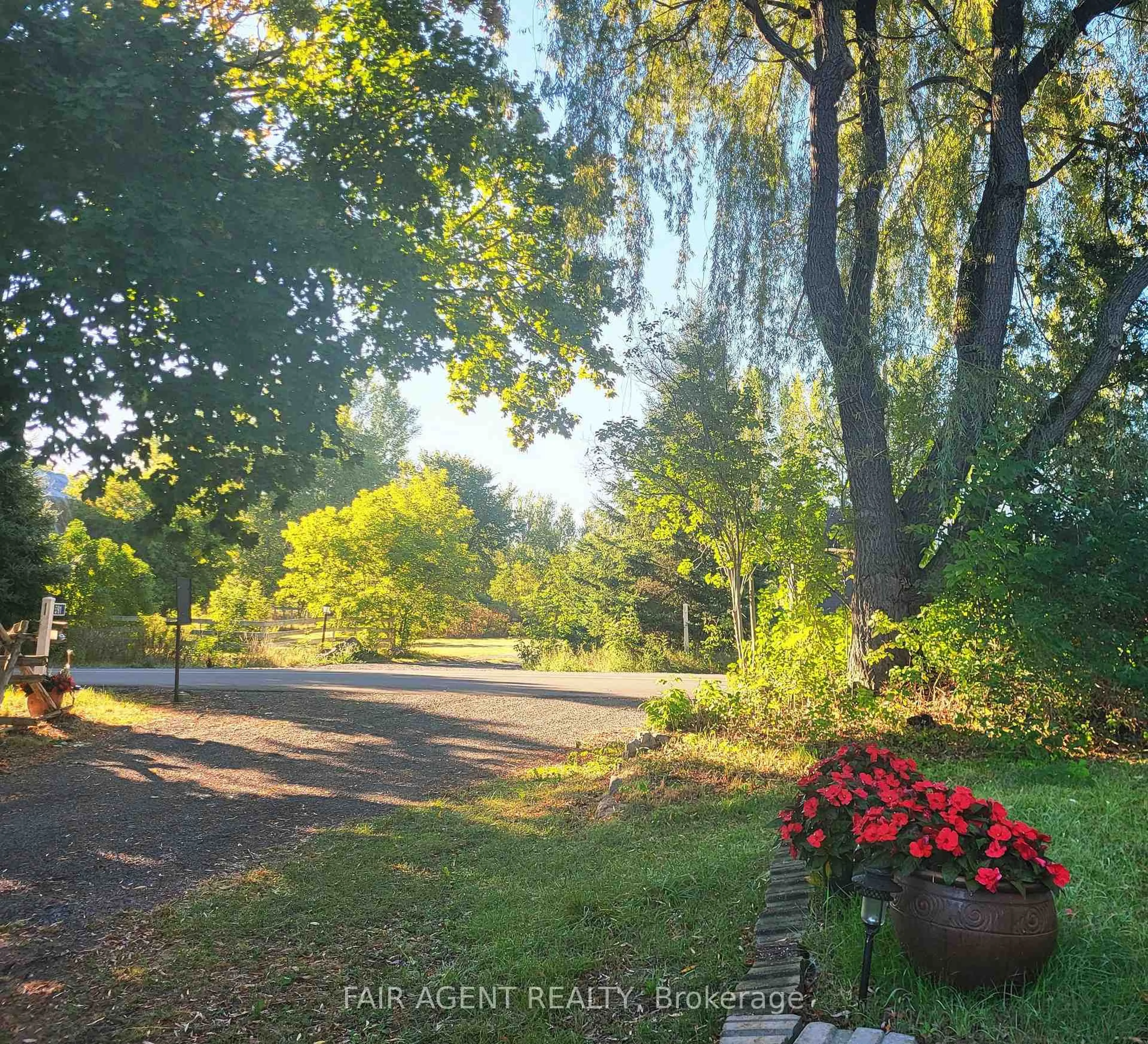 A pic from outside/outdoor area/front of a property/back of a property/a pic from drone, forest/trees view for 591 CONCESSION 4 Rd, Alfred and Plantagenet Ontario K0B 1L0