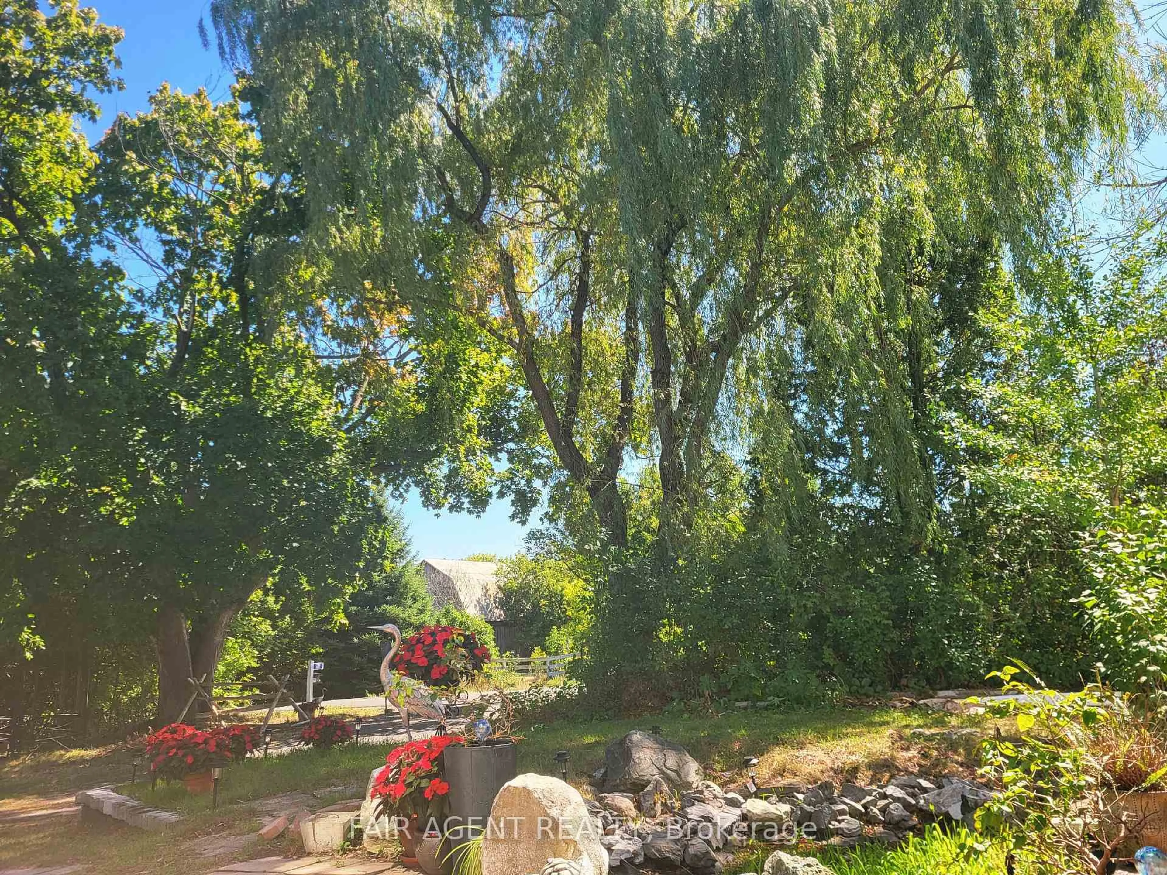 A pic from outside/outdoor area/front of a property/back of a property/a pic from drone, forest/trees view for 591 CONCESSION 4 Rd, Alfred and Plantagenet Ontario K0B 1L0