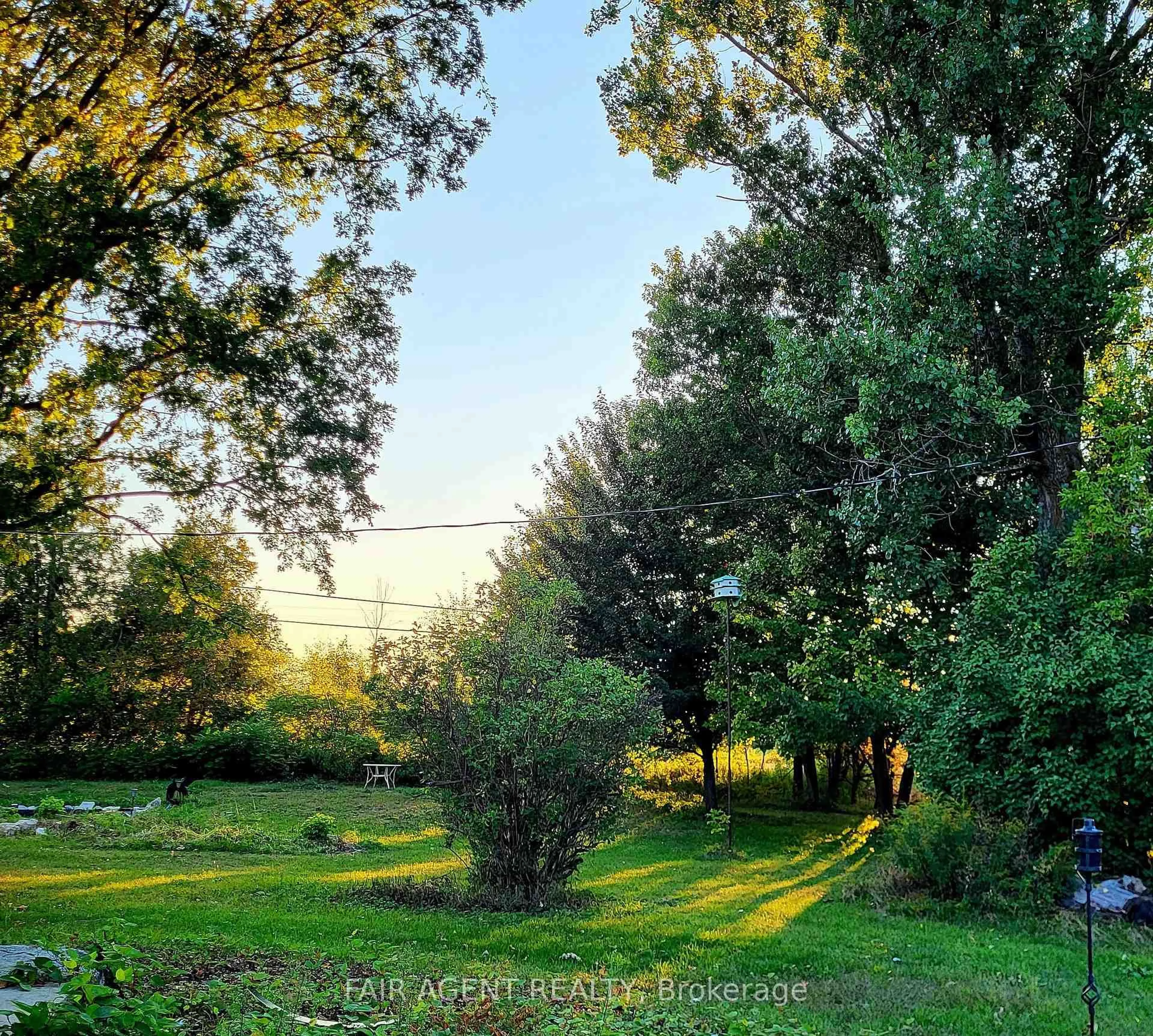 A pic from outside/outdoor area/front of a property/back of a property/a pic from drone, forest/trees view for 591 CONCESSION 4 Rd, Alfred and Plantagenet Ontario K0B 1L0