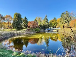 history photo preview