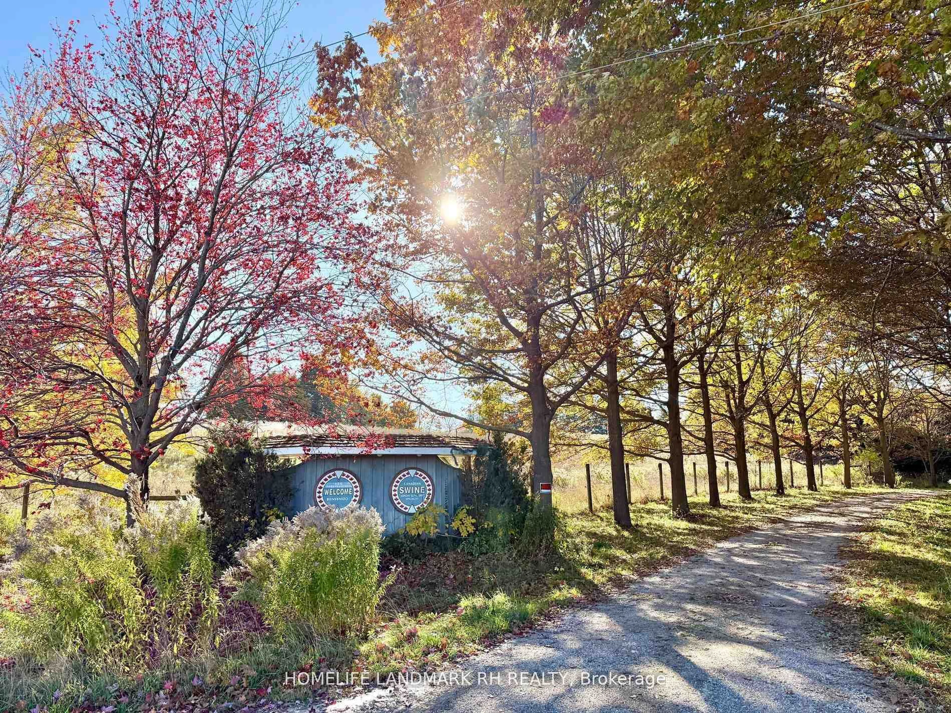 A pic from outside/outdoor area/front of a property/back of a property/a pic from drone, forest/trees view for 496217 10th Line, East Zorra-Tavistock Ontario N0B 2R0