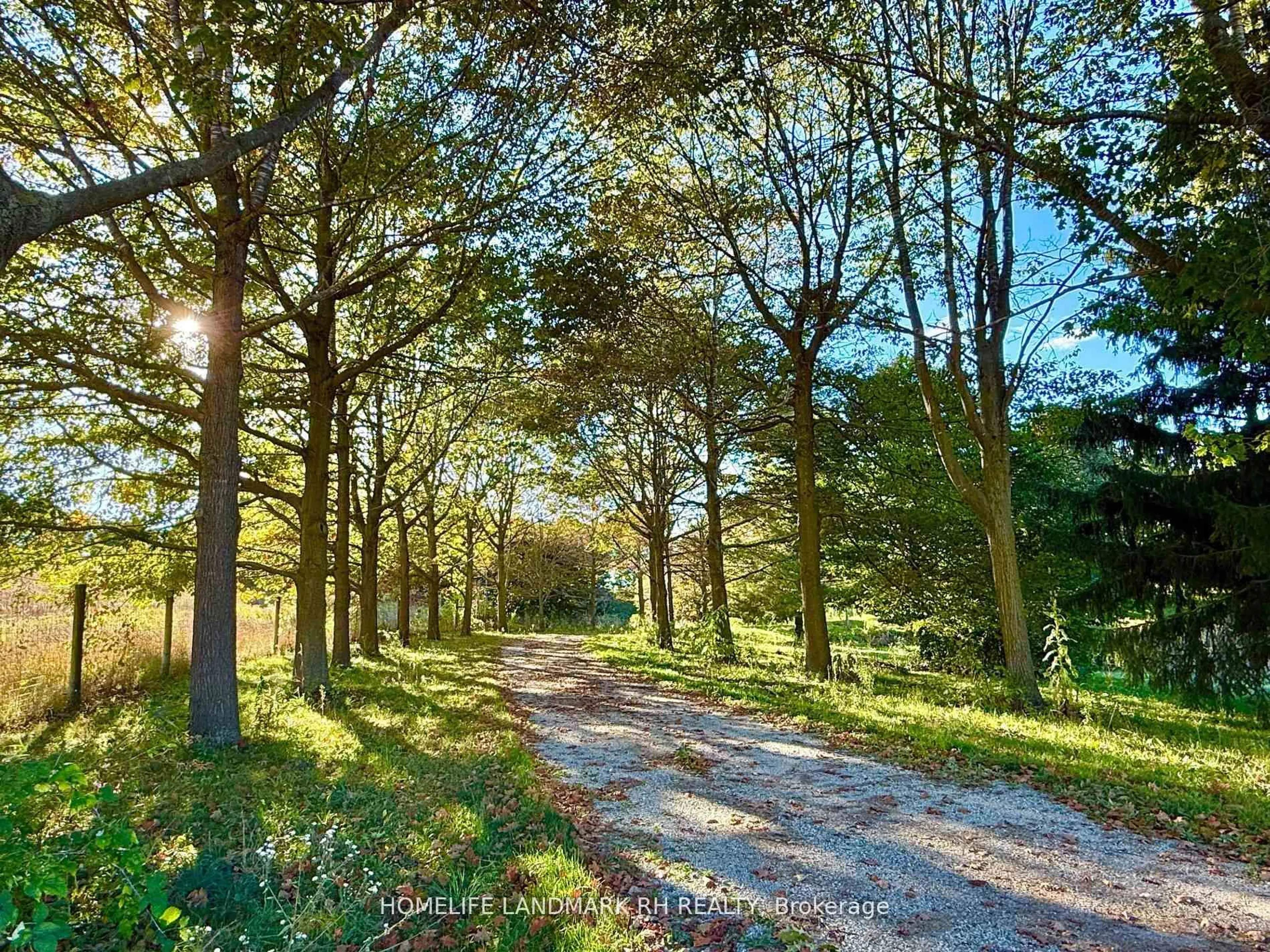 A pic from outside/outdoor area/front of a property/back of a property/a pic from drone, forest/trees view for 496217 10th Line, East Zorra-Tavistock Ontario N0B 2R0