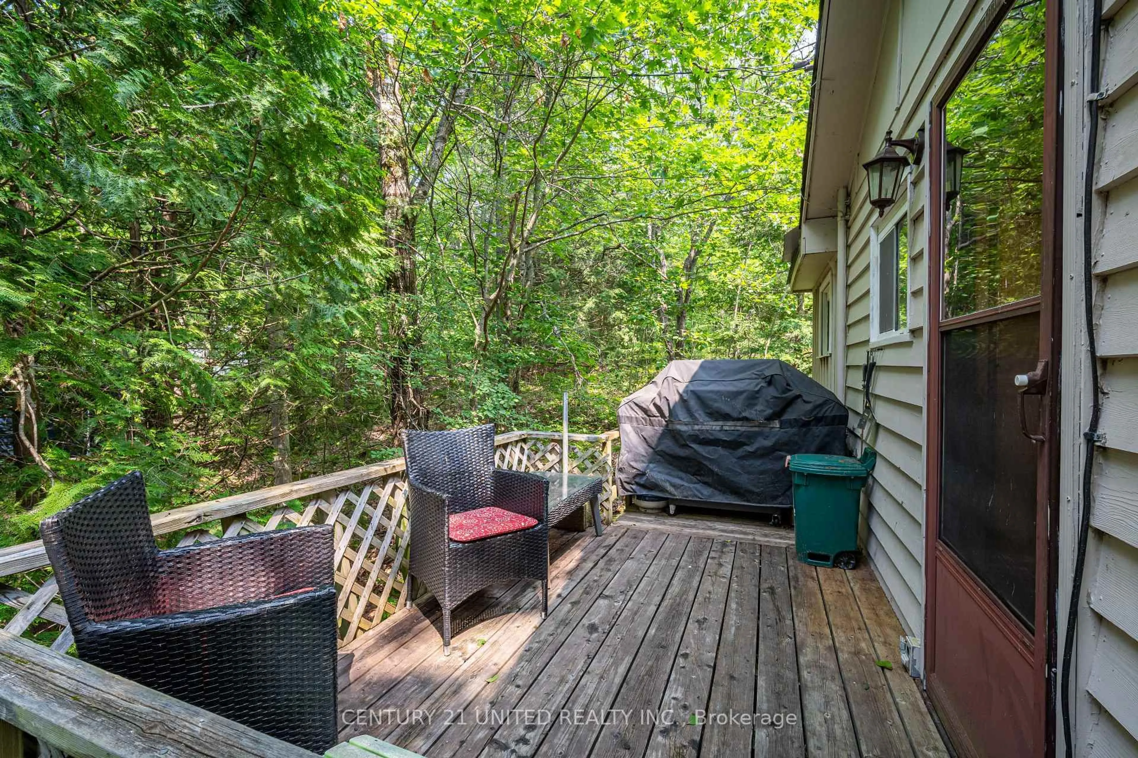 Patio, forest/trees view for 1207 Anstruther Lake Wao, North Kawartha Ontario K0L 1A0