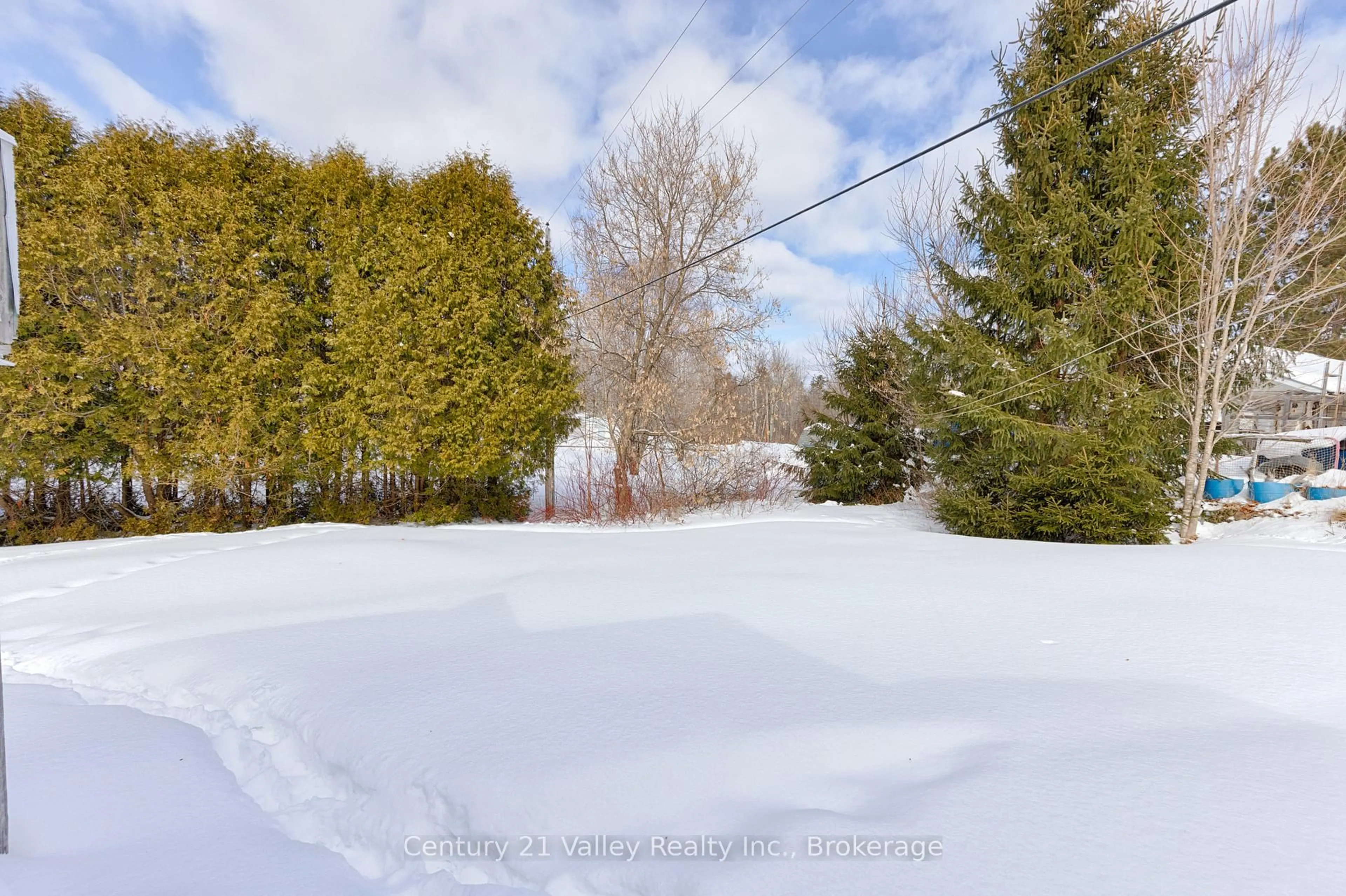 A pic from outside/outdoor area/front of a property/back of a property/a pic from drone, forest/trees view for 32 Ryan St, Killaloe Ontario K0J 2A0