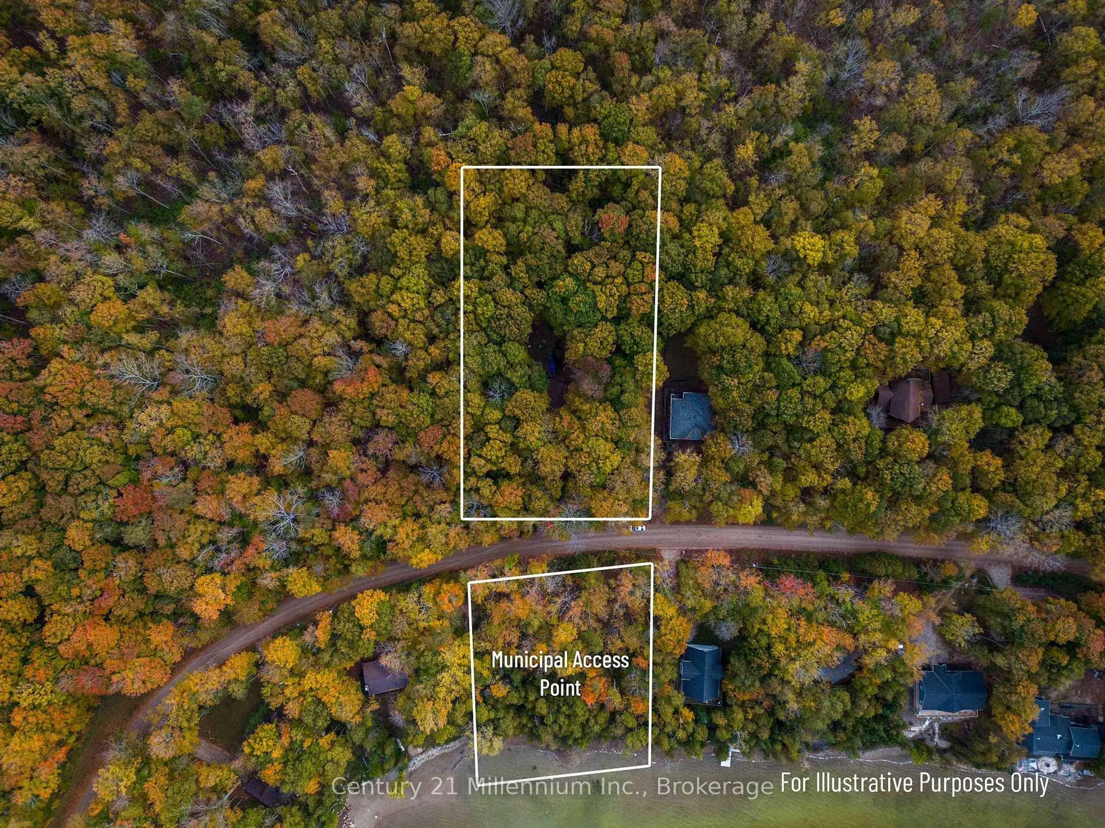 A pic from outside/outdoor area/front of a property/back of a property/a pic from drone, forest/trees view for 149 Tammy's Cove Rd, Northern Bruce Peninsula Ontario N0H 1W0