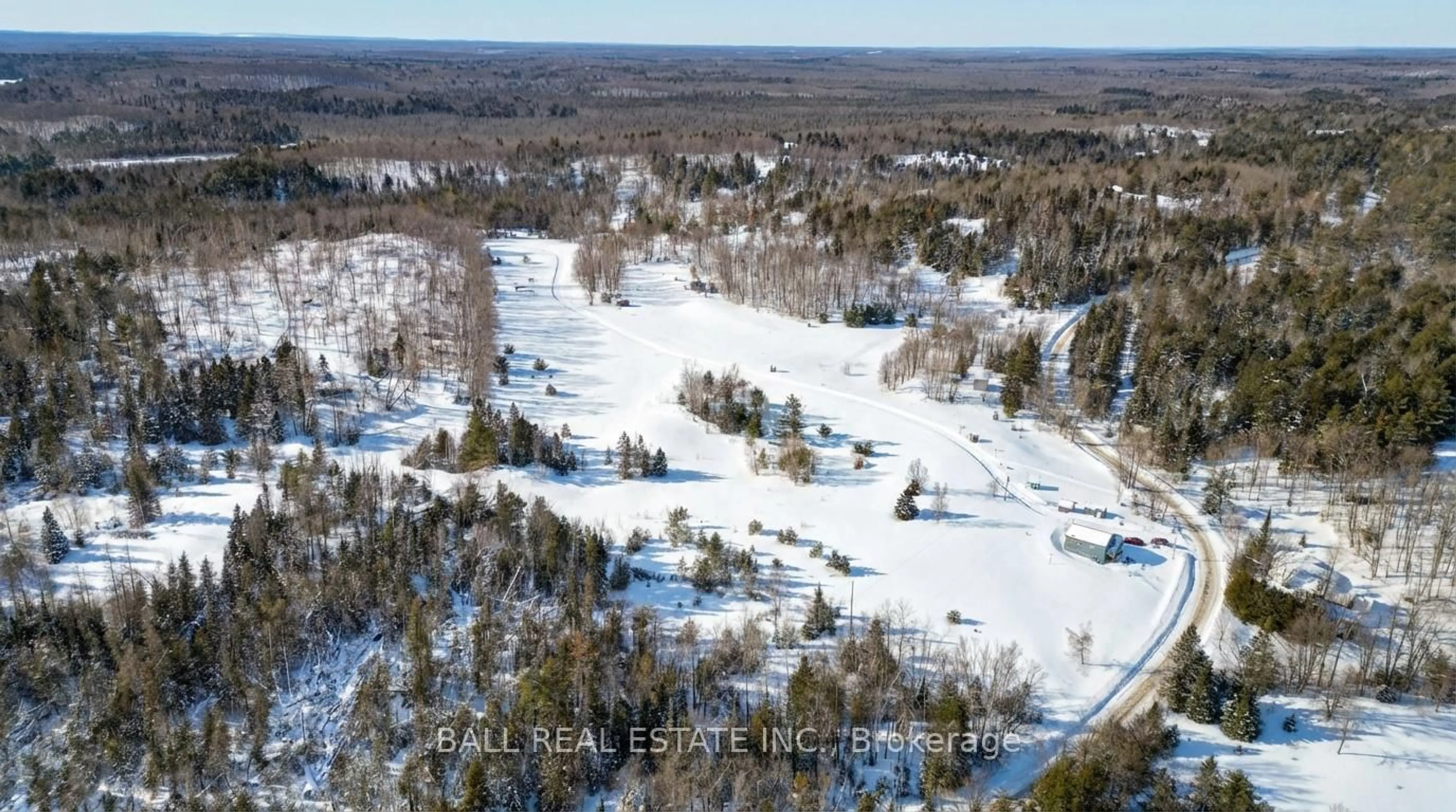 A pic from outside/outdoor area/front of a property/back of a property/a pic from drone, forest/trees view for 186 Lasswade Rd, North Kawartha Ontario K0L 1A0