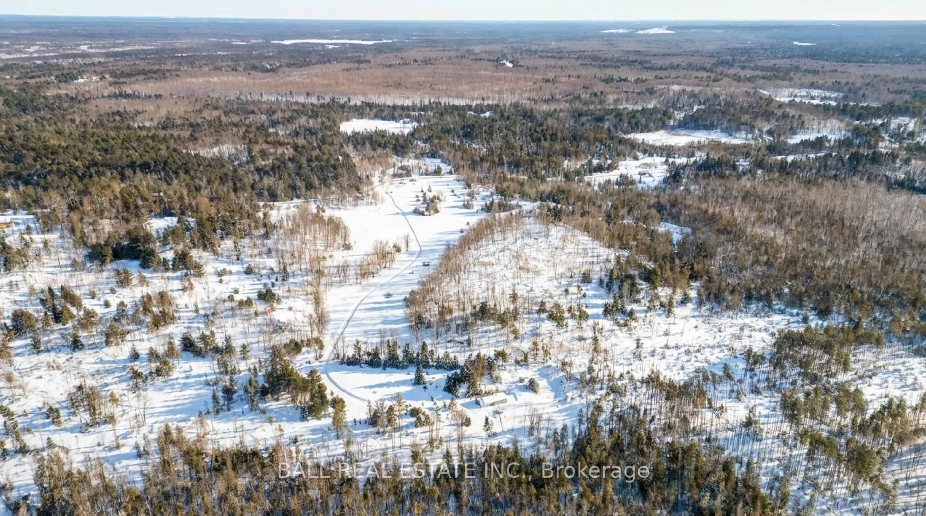 A pic from outside/outdoor area/front of a property/back of a property/a pic from drone, forest/trees view for 186 Lasswade Rd, North Kawartha Ontario K0L 1A0