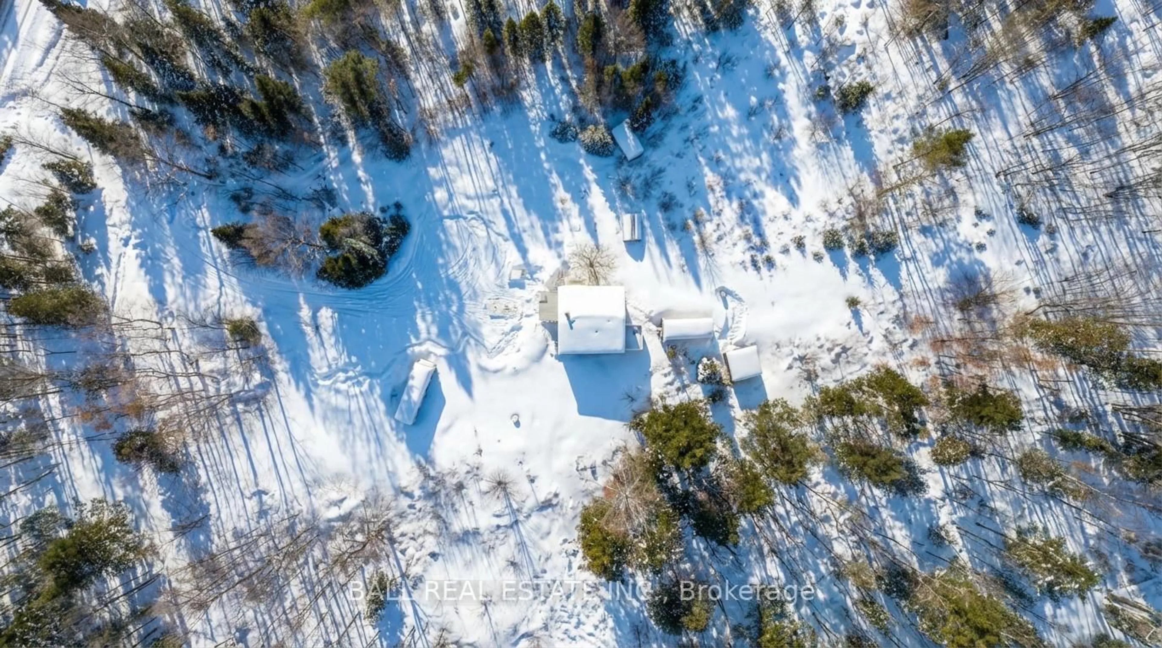 A pic from outside/outdoor area/front of a property/back of a property/a pic from drone, forest/trees view for 18610 Highway 62 N, Madoc Ontario K0K 1Y0